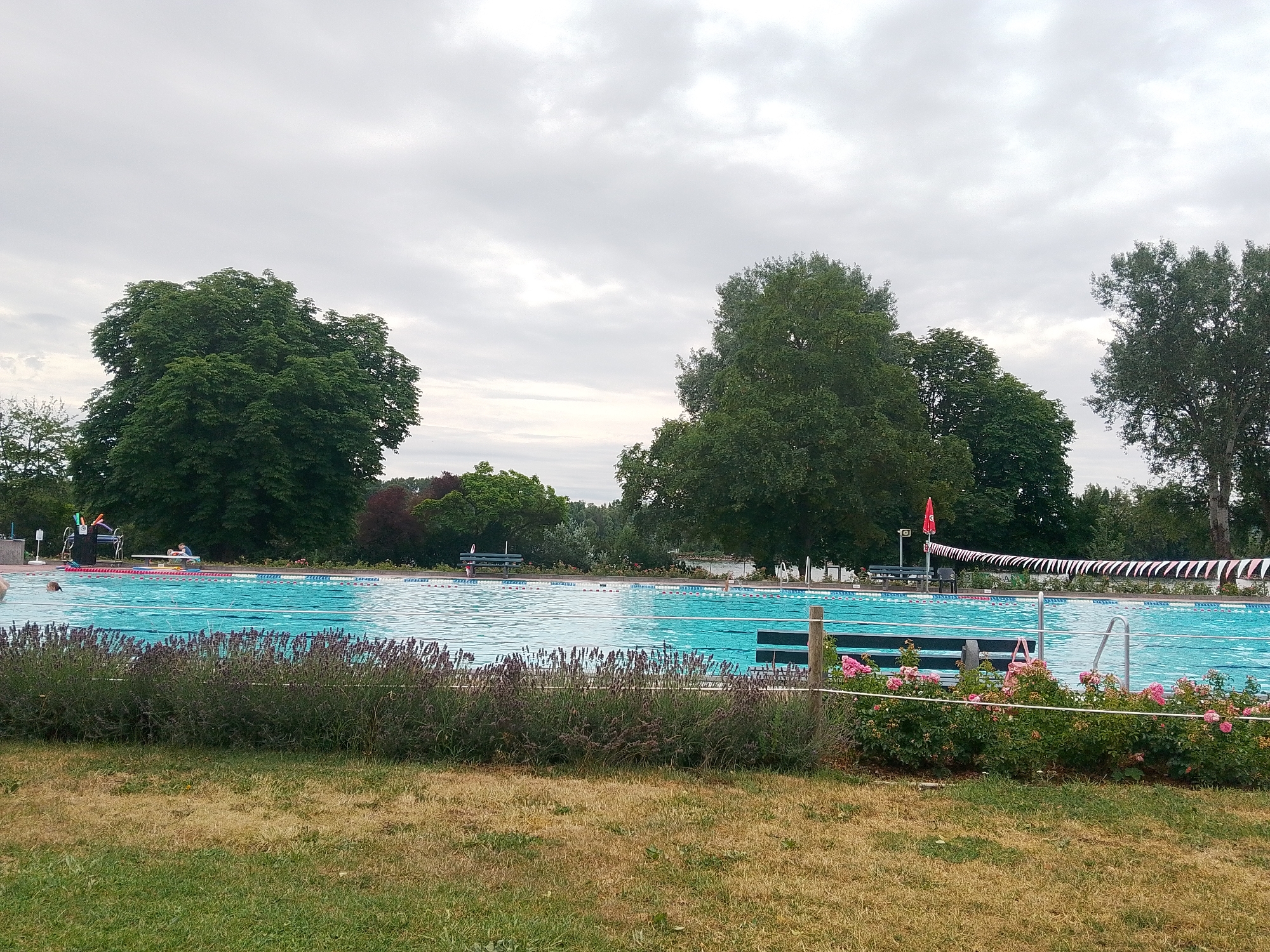 The image shows an outdoor swimming pool in Eltville, Germany, likely on an overcast day. The pool is large and blue, with lane markers visible. Several people are in or near the water, including one person swimming. Benches and lounge chairs are placed around the pool, and there are trees and bushes surrounding the area. A red flag is flying on a pole near the pool. The foreground is a grassy lawn.