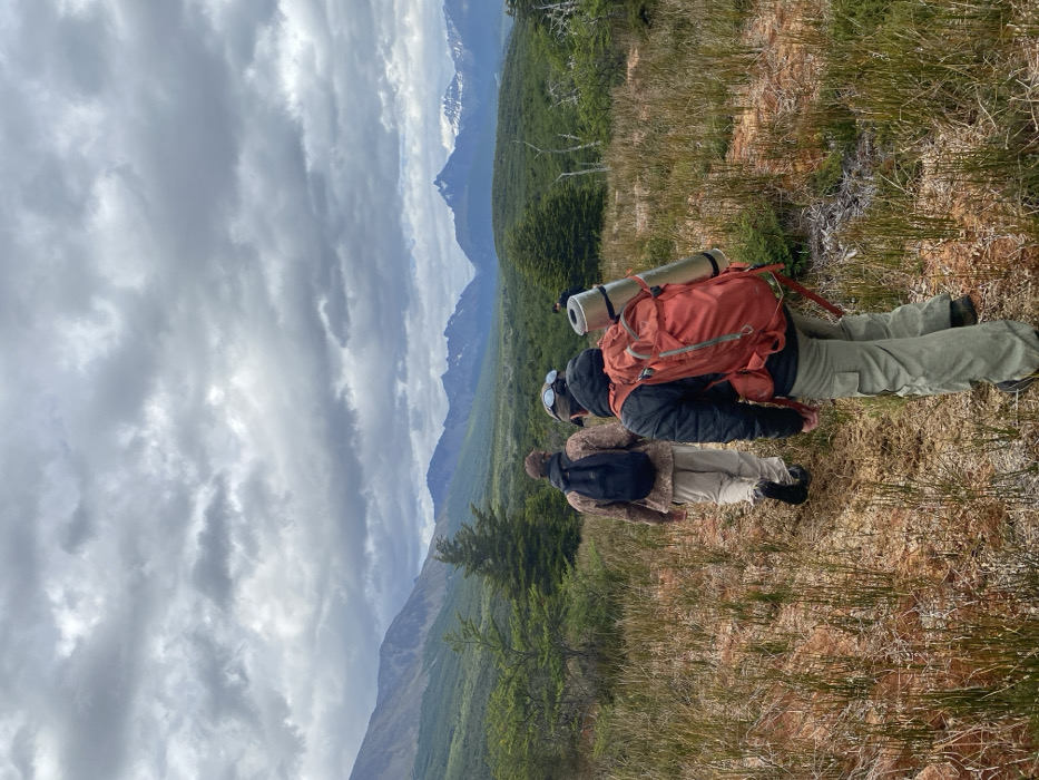 The image depicts two hikers from a rear perspective, pausing on a rugged, grassy hillside to observe a sweeping mountain vista. The individual in the foreground wears light-colored pants and a dark jacket, carrying a prominent orange backpack with a silver sleeping pad or mat strapped horizontally across the top. The second person, positioned slightly behind, is dressed in patterned earth-toned clothing and has a smaller, dark-colored backpack. Both are looking out towards the distant landscape, suggesting a moment of rest or contemplation during a trek.
The setting is an expansive outdoor scene, likely a mountainous region. The mid-ground features a dense forest of green trees, characteristic of a valley or lower mountain slopes. Beyond the forest, majestic mountains rise, with some peaks appearing snow-capped under a cloudy, overcast sky. The sky is filled with layered grey and white clouds, indicating daytime conditions, possibly late morning or afternoon, without direct sunlight. The immediate foreground shows sparse, reddish-brown ground cover mixed with tufts of green and dried grass, suggesting a well-worn path or natural terrain. This dramatic landscape is consistent with the geographical features found in Ushuaia, Argentina. No visible text is present in the image.