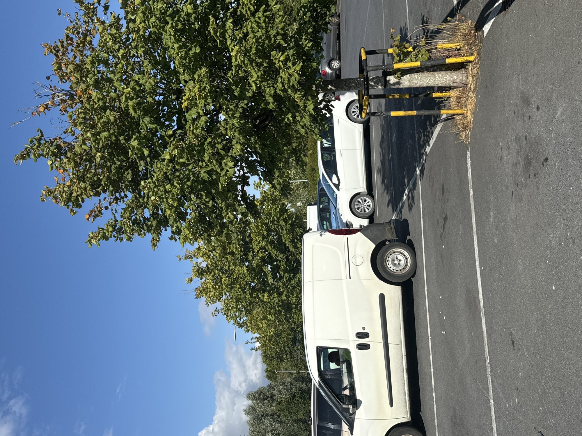 A white panel van is parked in a lot on a sunny day, with a driver visible inside. A white hatchback is parked behind the van, and a silver sedan is parked further in the background. A young tree with protective yellow and black posts is located in the foreground. The scene appears to be a parking lot located in the city of Waterford, Ireland.