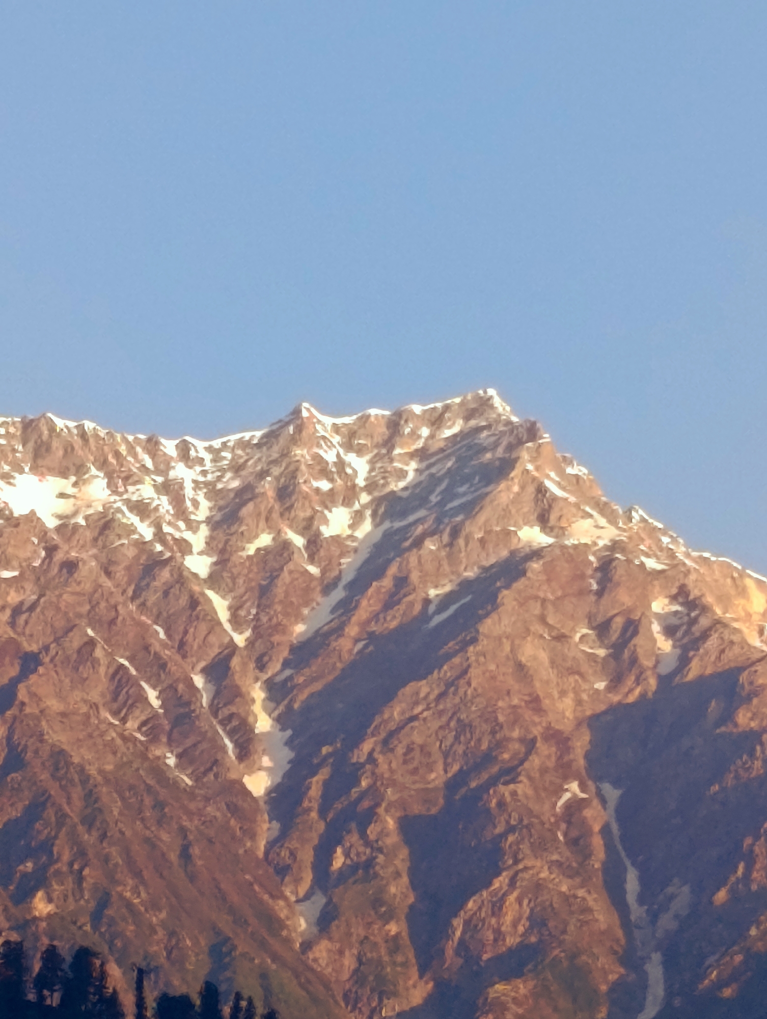 The image shows a close-up view of snow-capped mountains under a clear blue sky. The mountains are rugged and rocky, with patches of snow clinging to their slopes. The sunlight illuminates the peaks, creating highlights and shadows that accentuate the texture of the rock. The lower part of the image shows a dark silhouette of trees. The scene is devoid of human presence. The image captures a serene and majestic natural landscape.