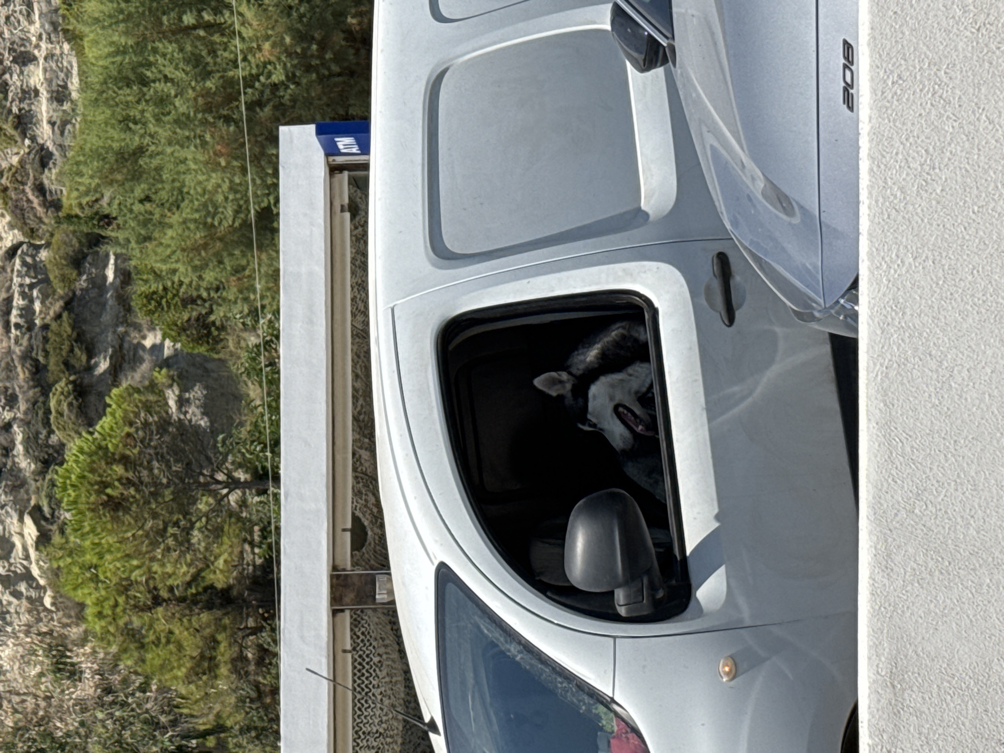 A husky dog is looking out the driver's side window of a white van, its tongue hanging out. The van is parked in front of a building with an ATM sign visible. In the background, there are trees and a rocky hillside. The scene appears to be outdoors in a sunny environment, possibly in Rhodes, Greece, given the vegetation and arid landscape. A portion of a silver car is visible in the foreground.