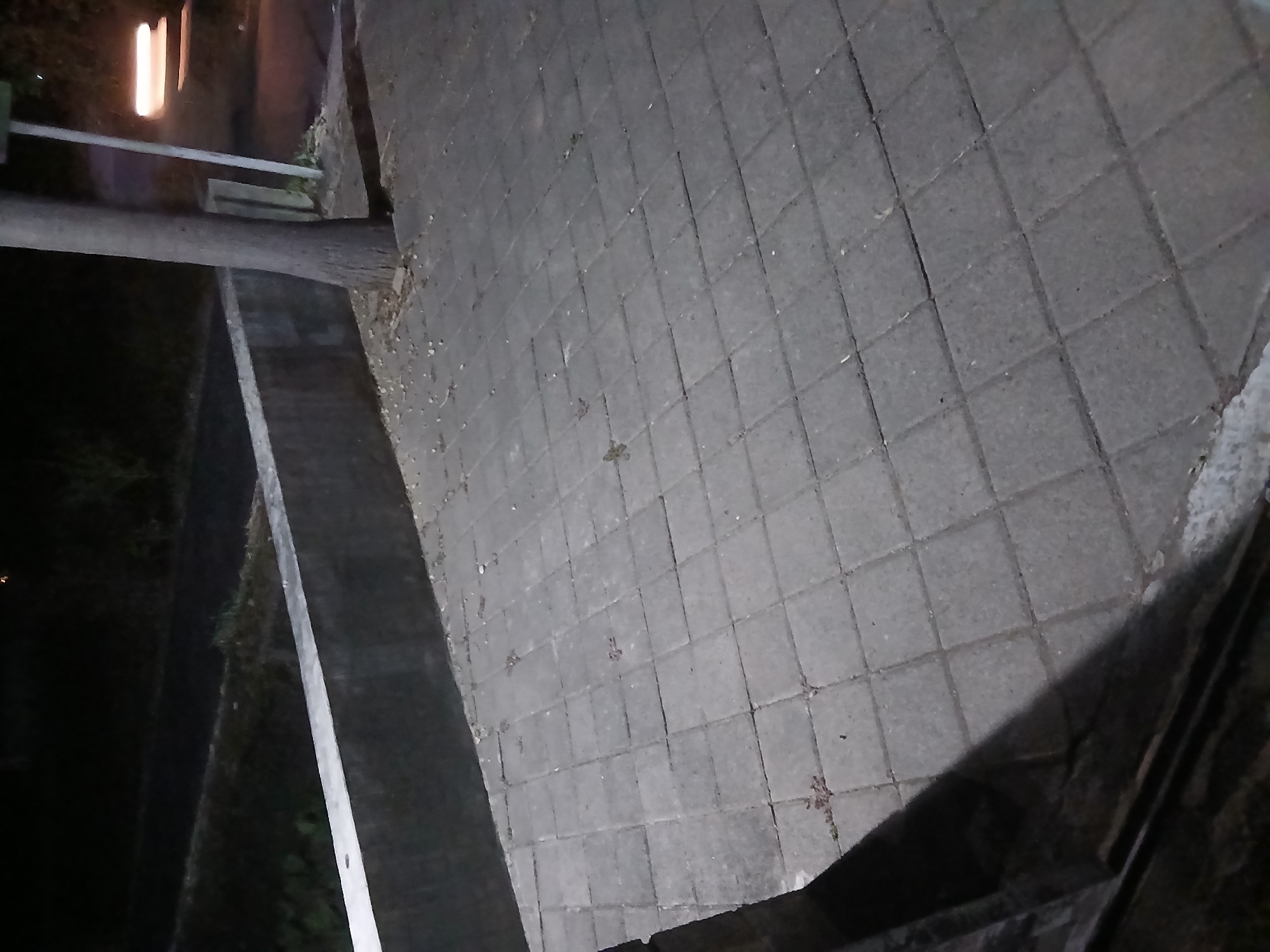 The image depicts a nighttime view of a paved sidewalk or pathway in Sekarputih, Indonesia. The foreground is dominated by a pattern of square gray concrete pavers, some of which show signs of wear and tear, with small amounts of debris scattered across them. To the left, a dark shadow is cast from an unseen object, possibly a wall or building. In the mid-ground, a concrete barrier or wall runs horizontally across the scene. Beyond the wall, a darker area suggests a sloping terrain or embankment, possibly with some vegetation. A tree trunk is prominently visible to the right of the image, emerging from the ground near the edge of the pathway. Further to the right, a thin vertical pole, possibly a lamppost or signpost, is present. In the background, a blurred streak of light indicates a vehicle or moving object on a road or pathway in the distance, illuminated by a light source. The overall impression is one of an urban or semi-urban environment at night, with artificial lighting providing minimal illumination.