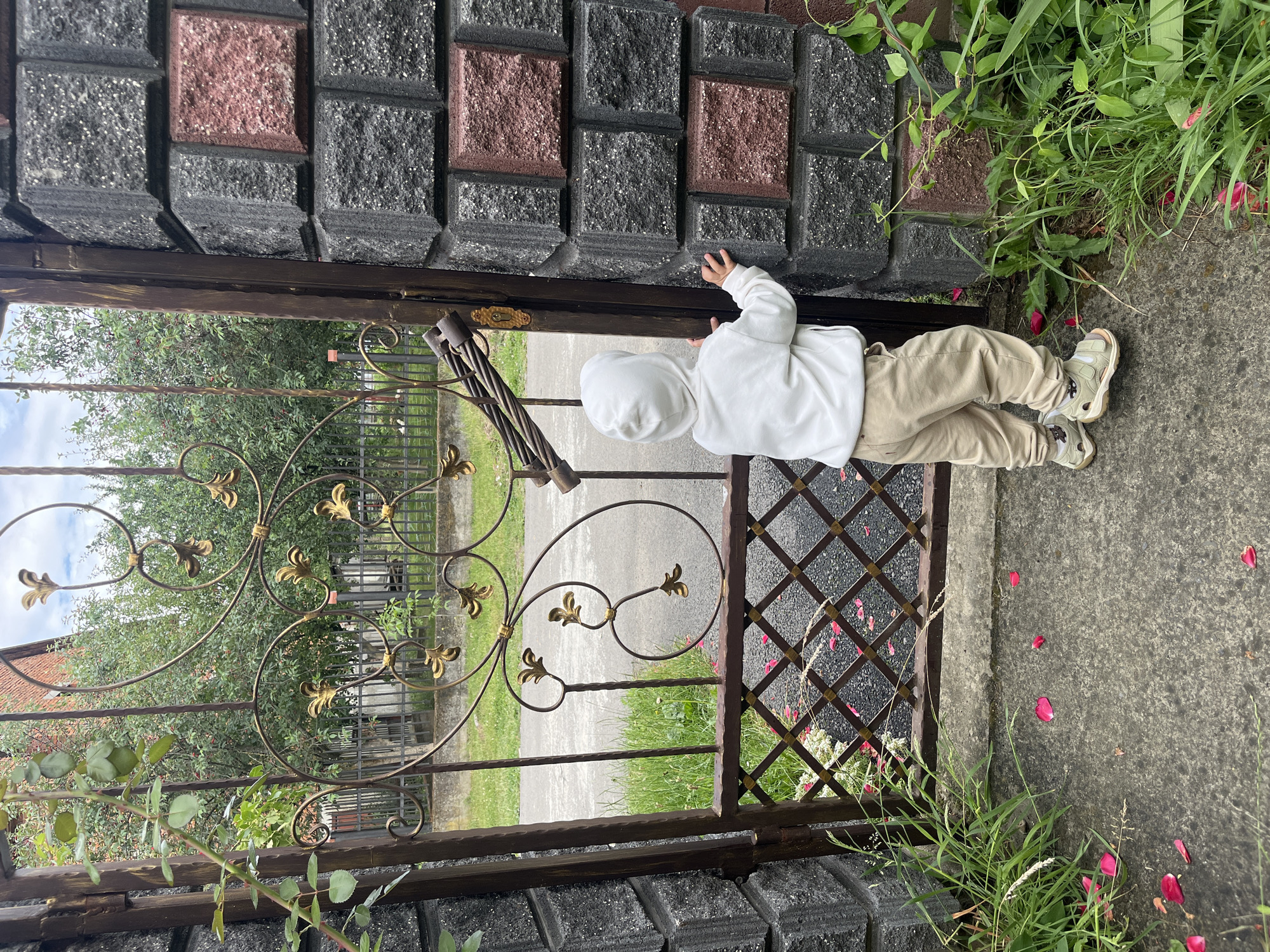 In Onokivtsi, Ukraine, a young child wearing a white hoodie and tan pants stands facing an ornate metal gate, their hands resting on the stone pillar beside it. The gate, partially open, reveals a paved area with scattered pink flower petals and lush green grass on either side of the walkway. Beyond the gate, trees with green foliage are visible, with a glimpse of a fence and a building in the background. The day appears overcast, with the sky peeking through the branches. The scene is framed by a stone wall and overgrown greenery.