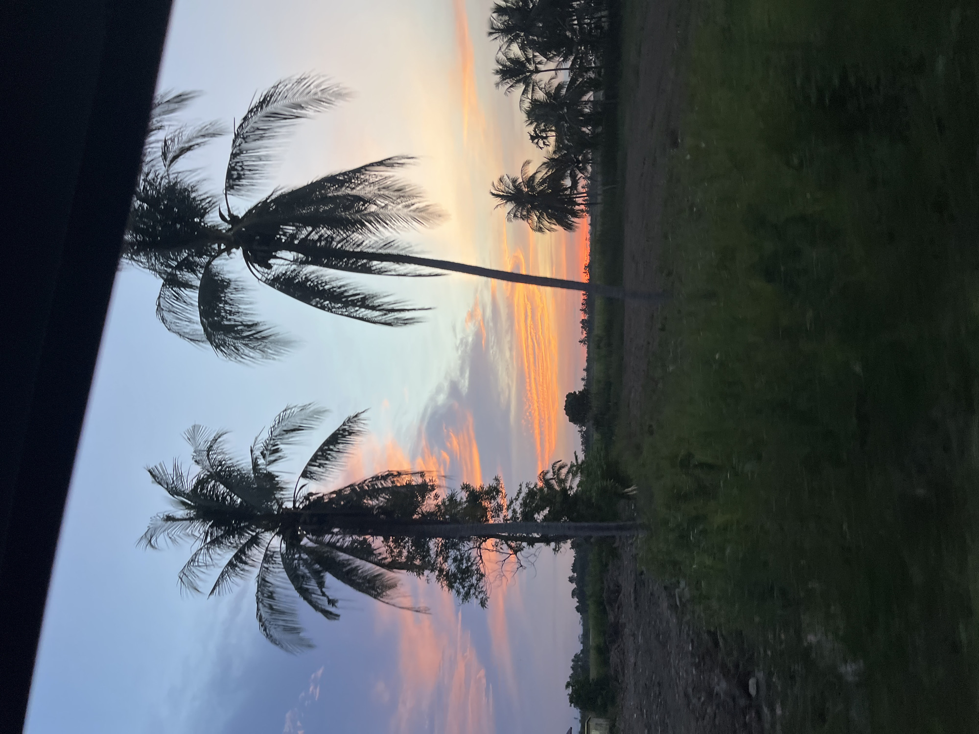 A scenic twilight view unfolds in Matangpanyang, Indonesia, featuring a dramatic sky painted with hues of orange, pink, and purple, indicative of a setting sun. Two prominent silhouetted palm trees stand tall in the foreground, their fronds fanning out against the vibrant sky. To the right, a cluster of smaller palm trees forms a line against the horizon. The landscape below consists of dark, tilled earth and fields of green vegetation, with a few scattered trees further in the distance. The scene is captured from what appears to be a moving vehicle, suggested by the dark, blurred frame at the top of the image and the motion blur present in the foliage. The overall impression is one of a tropical sunset, serene and picturesque.