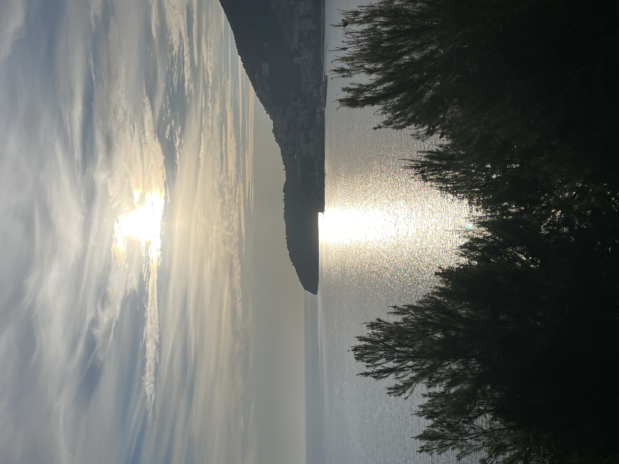 The image displays a panoramic coastal scene in Budva, Montenegro, overlooking a bay of the Adriatic Sea. The sun, positioned in the upper-right quadrant, is partially obscured by thin, scattered clouds, emitting a bright glare and creating a prominent, shimmering path of light across the calm water surface, extending from the horizon towards the foreground.
On the right side of the frame, a dark, vegetated landmass, identified as a hill or mountain, slopes down to the sea. This landmass features numerous multi-story buildings and urban development clustered along its contours, silhouetted against the ambient light. The coastline forms a distinct headland or peninsula. The sky above presents a mix of light blue and grey hues, with cirrus and stratus clouds diffusing the sunlight.
The immediate foreground is dominated by the dark, silhouetted foliage of evergreen trees or large bushes, out of focus and framing the lower portion of the image. No individuals or specific actions are discernible within the frame. The scene is devoid of vessels on the water beyond the sun's reflection.