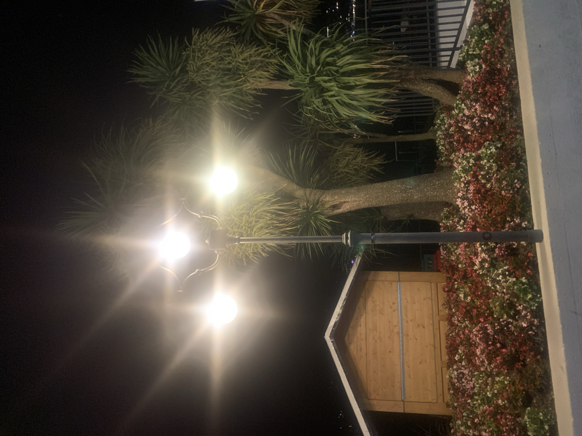 The image depicts an outdoor scene at night in Lugano, Switzerland. A lamppost with three lights illuminates the foreground, casting bright light and lens flare. To the left of the lamppost is a small, wooden shed or booth with a pitched roof. In front of the shed and extending to the right is a bed of flowering plants, featuring a dense arrangement of small flowers in shades of red, pink, and white. Behind the flowers and lamppost, several palm-like trees with spiky fronds are visible. A dark, metal railing runs along the right side of the image, suggesting a boundary or walkway. The background is dark, indicating it is nighttime, with some faint lights possibly indicating distant buildings or streetlights.