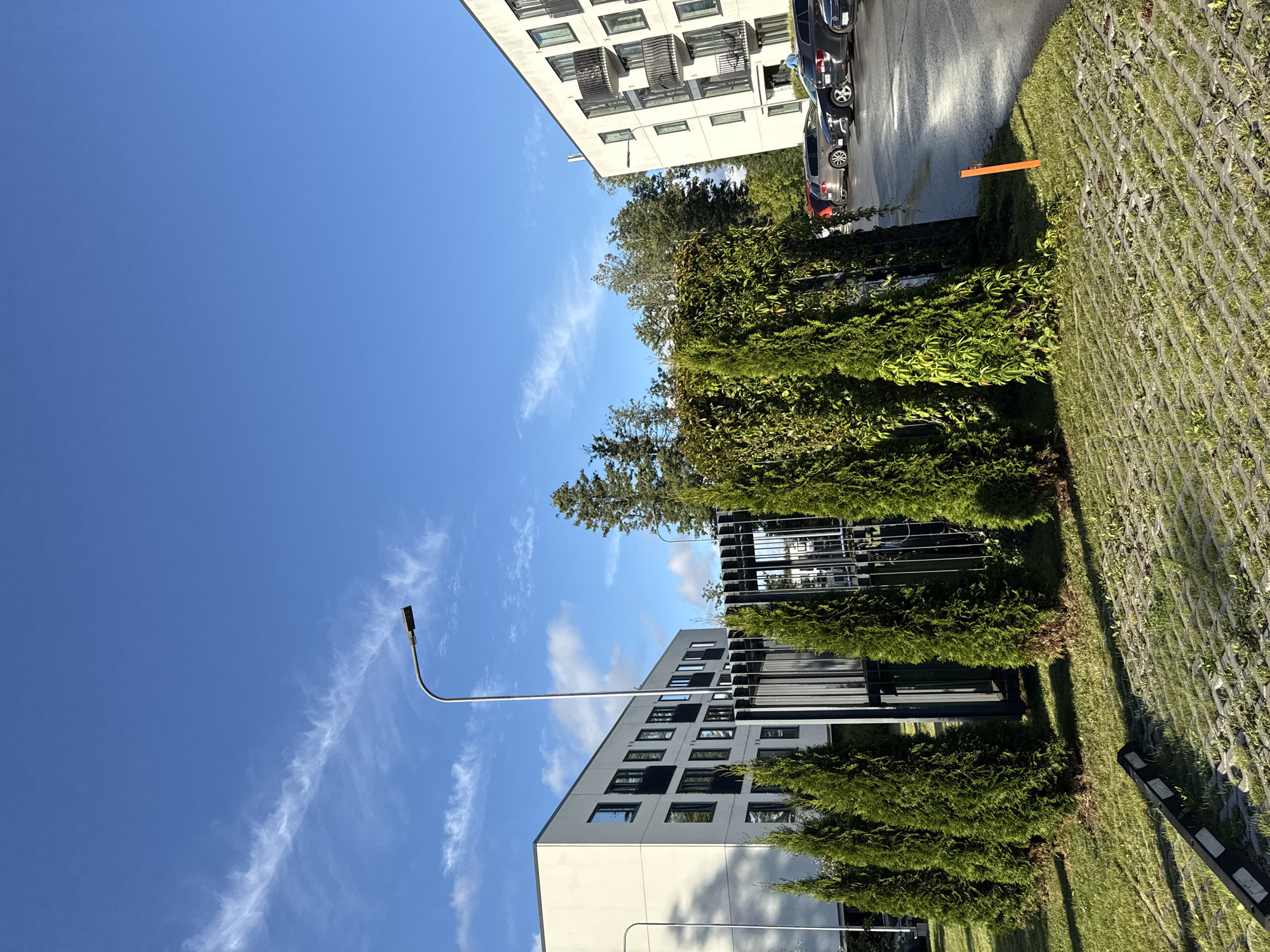 The image depicts an outdoor scene in a modern urban environment. In the foreground, there is a textured pavement surface with grass growing in the gaps, and a black and white car stop. To the left, a row of tall, conical evergreen trees stands on a patch of grass. Behind the trees, a portion of a modern, multi-story white building with dark-framed windows and balconies is visible. A tall street lamp with a modern fixture extends from behind the trees towards the sky. In the middle ground, a dark metal structure, possibly a fence or gate, is partially obscured by dense green vegetation, including ivy climbing on a trellis. Beyond this, a parking lot is visible with several cars parked on a wet asphalt surface. Another white building with balconies and dark-framed windows is situated on the right side of the image. The sky is a clear blue with wispy white clouds. The overall impression is of a well-maintained residential or commercial area with landscaping. Based on the architectural style and the specific lighting and cloud formations, this scene is likely located in Tallinn, Estonia.
