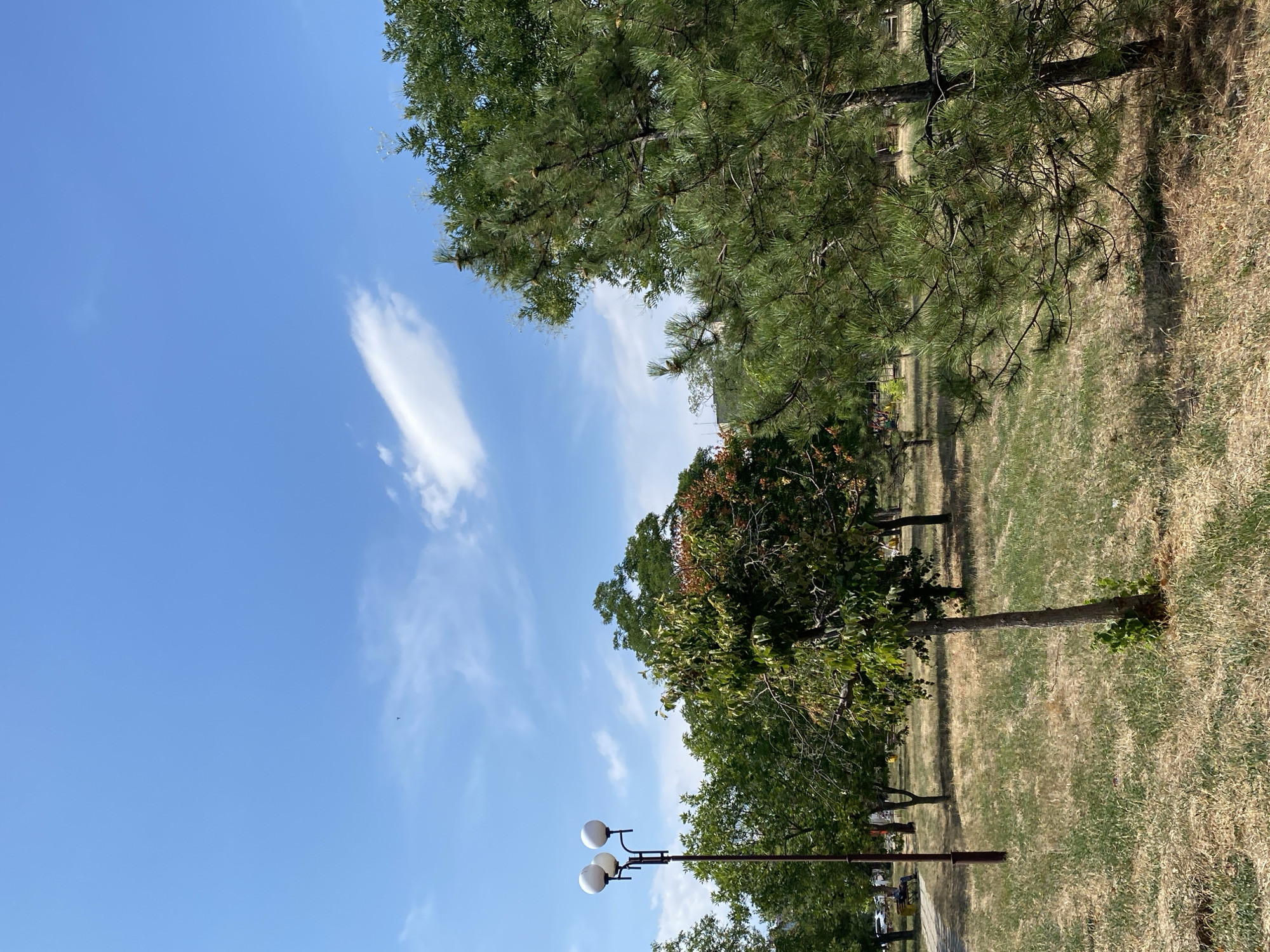 The image depicts an outdoor scene in a park located in Chornomorsk, Ukraine, on a clear, sunny day with a few wispy clouds in the bright blue sky. In the foreground, on the right side, is a large, mature pine tree with green needles and visible cones. To the left of the pine tree, further back in the park, are several other trees with green foliage. A street lamp with three white globe lights is visible on the left side of the image, standing on a dark pole. The ground is covered with dry, yellowish-brown grass, indicative of a warm climate or season, with patches of greener growth scattered throughout. A narrow, paved pathway is visible in the lower left portion of the image, leading into the park. In the distance, past the trees, a person is seated on a park bench near the pathway, and some park amenities like playground equipment can be faintly discerned. The overall impression is that of a public park in a temperate urban environment during daylight hours.