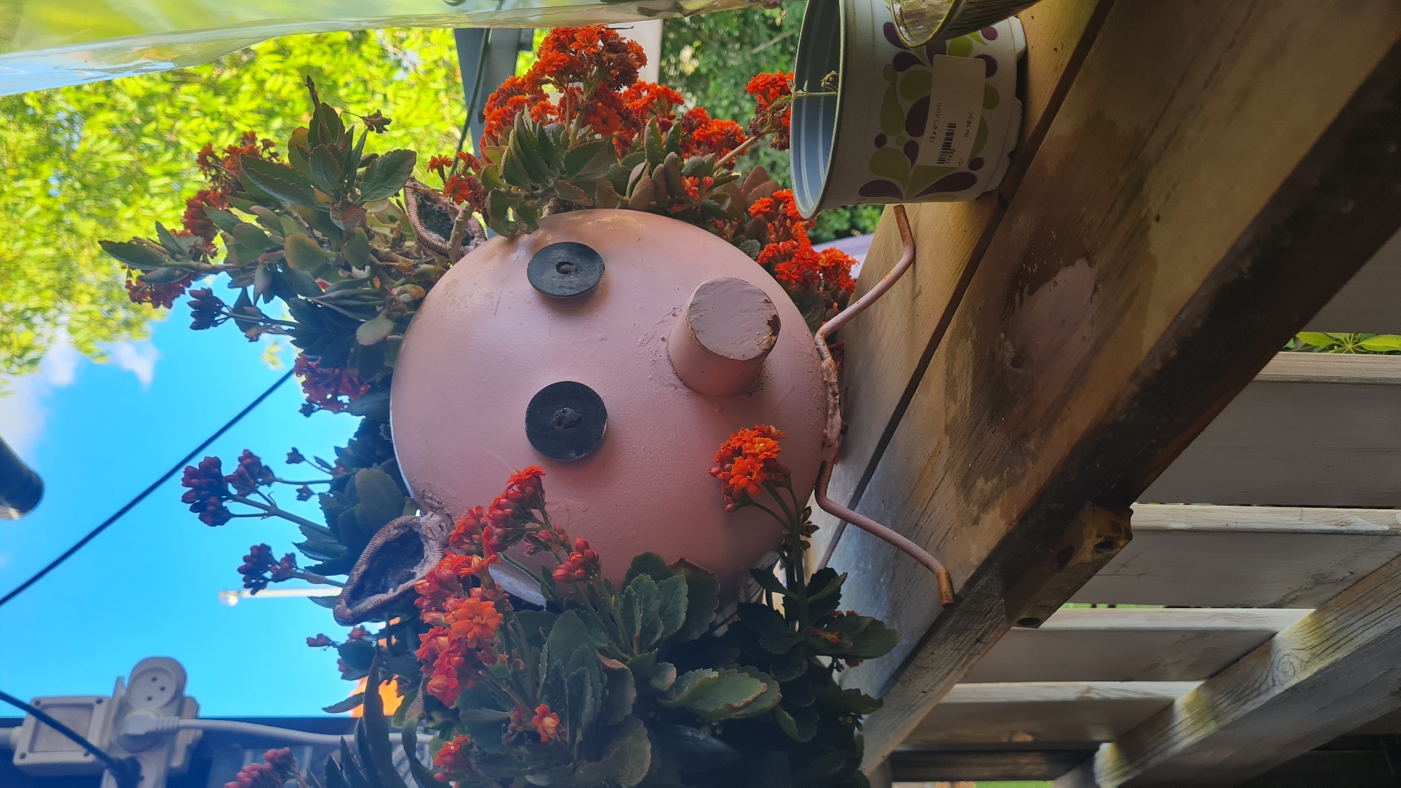 A pink, round object, likely a repurposed metal sphere, is adorned with various plants, including succulents with orange flowers. This structure is attached to a wooden beam, possibly part of a pergola or similar outdoor structure. The "face" of the sphere features two black, button-like objects serving as eyes and a cylindrical projection for a nose. The scene appears to be outdoors, with greenery and a blue sky visible in the background. The location is presumed to be within the Lachish Regional Council, Israel, as specified.