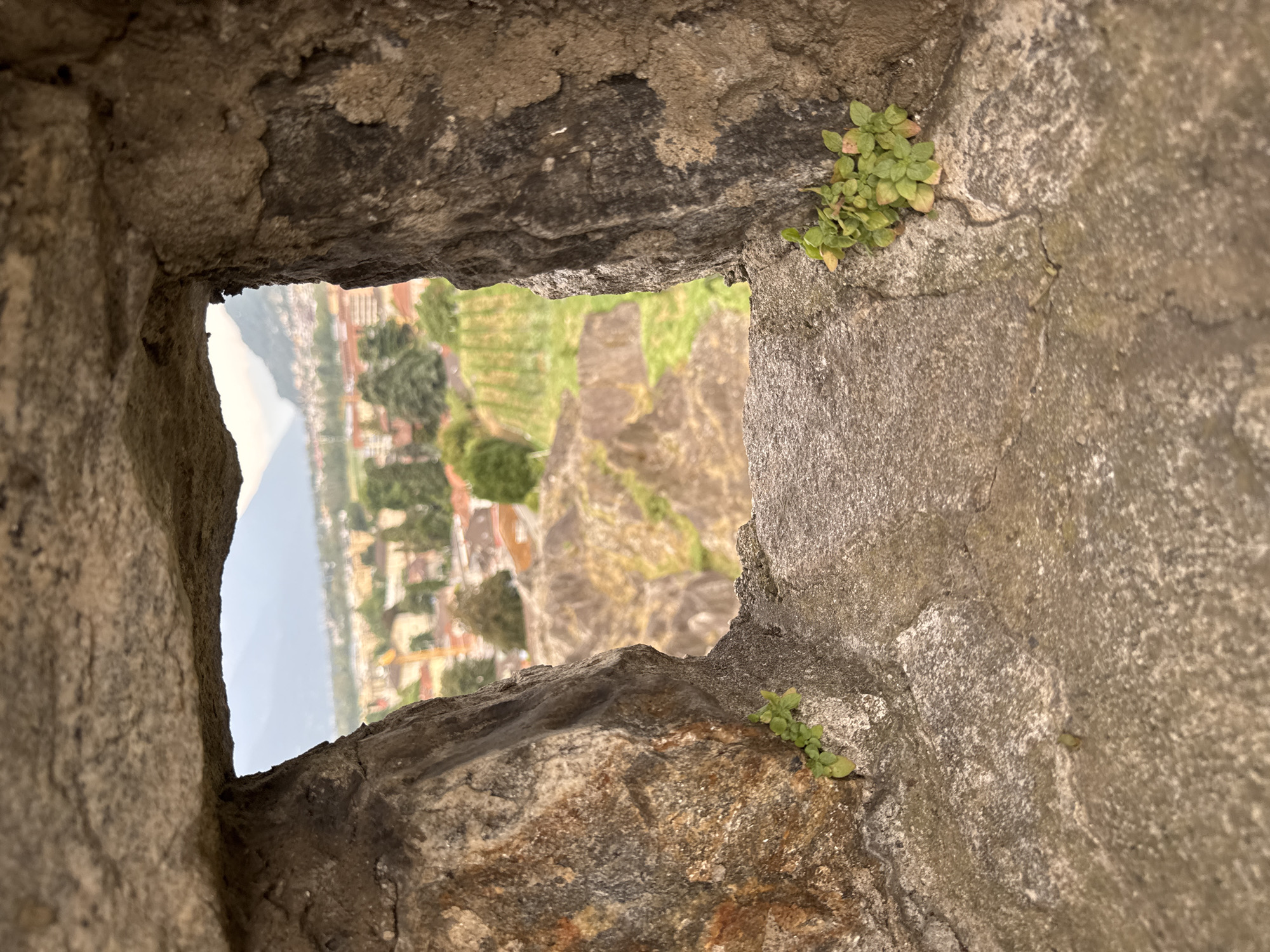 This is a medium shot, captured at eye level, looking through a rough-hewn stone opening in a medieval fortification. The opening, which resembles a crenellation or narrow window, frames a distant view of the city of Bellinzona, Switzerland.
The foreground consists of the textured stone of the fortification, characterized by its irregular surface, various shades of gray, and hints of brown and ochre. Small green plants, appearing to be hardy weeds, are growing from cracks in the stone on both the left and right sides of the opening. The stone on the left exhibits a more reddish-brown hue, while the stone on the right is darker and rougher.
Through the opening, the mid-ground reveals a rocky, somewhat barren landscape with patches of green vegetation. Beyond this, the city of Bellinzona unfolds. Buildings with red-tiled roofs are visible, interspersed with green trees. In the distance, mountains rise, their slopes partially obscured by a hazy sky. The overall impression is one of historical significance and a strategic vantage point overlooking the city and its surroundings. The light suggests it is daytime, likely overcast or late afternoon, given the diffused lighting and lack of harsh shadows. There are no people visible in the frame.