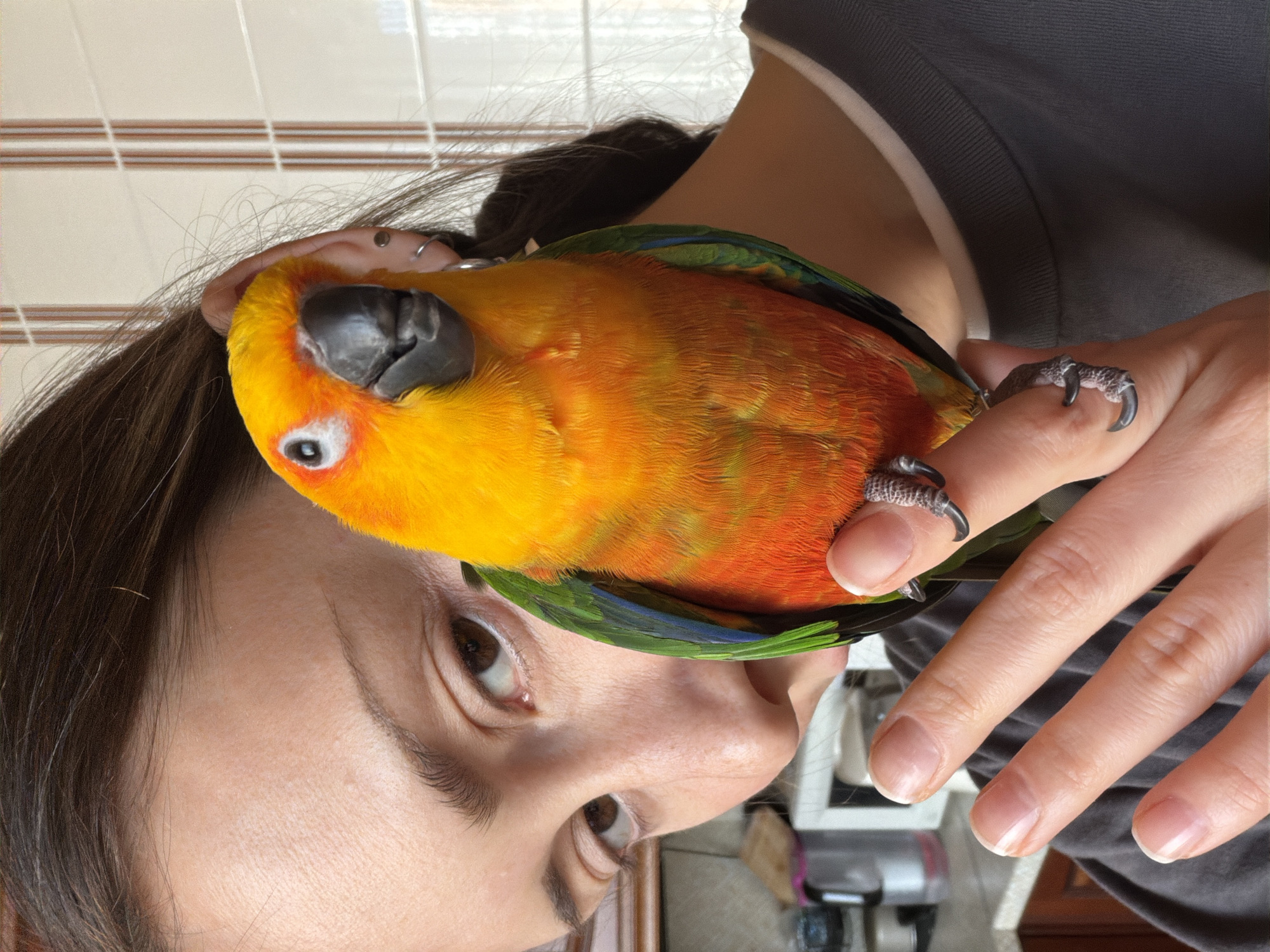 A close-up, portrait-style shot depicts a person holding a colorful parrot. The person's face is partially visible; their dark hair is gathered back, and their eyes are looking towards the camera. A parrot with bright yellow and orange plumage, and green and blue wing feathers, is perched on the person's hand and resting near their ear. The parrot's claws are gripping the person's fingers. The background is a slightly blurred interior with a tiled wall visible. The image is rotated, giving a tilted perspective. No location within the city of Khimki, Russia can be verified in the image.