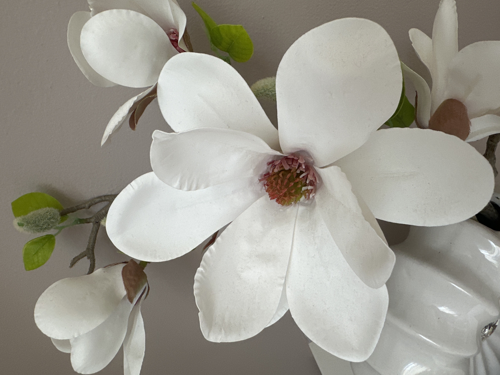 A close-up, high-angle, medium shot focuses on multiple white magnolia blossoms and buds against a neutral, taupe-colored wall. The largest blossom, centered and in the foreground, displays five prominent white petals radiating outwards from a reddish-pink and green stamen. Smaller blossoms and buds are visible in the upper left and lower left quadrants, as well as to the right. Some green leaves and fuzzy buds are also present, attached to thin, brown stems. The image appears to be staged, possibly as a still life or a decorative arrangement, with no discernible urban environment.