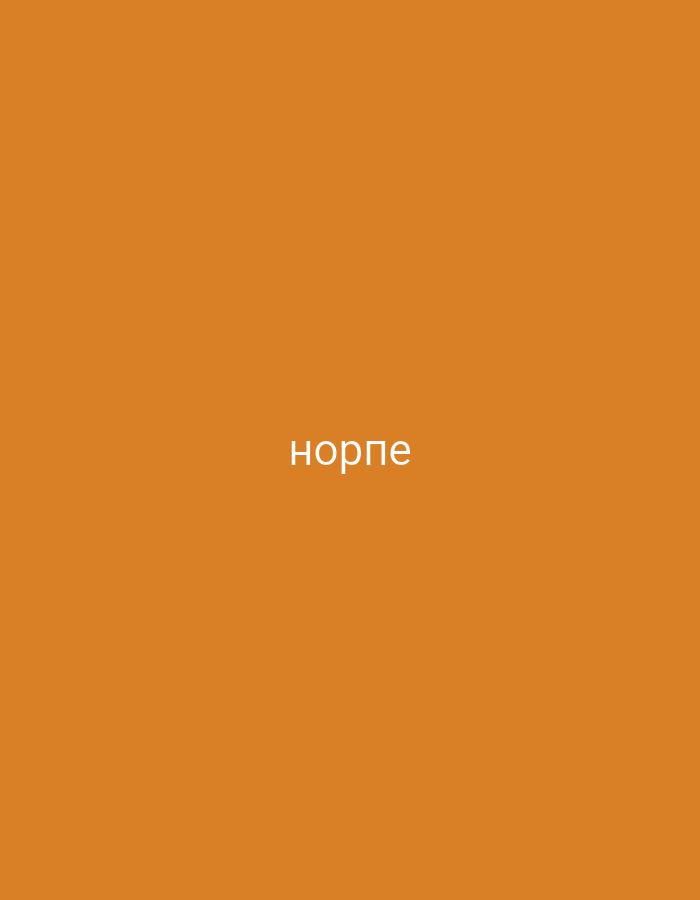 The image displays a solid, uniform background in a warm, earthy orange-brown color. Centered horizontally and vertically on this background is a single word written in white or light gray, sans-serif text. The word is "норпе," rendered in Cyrillic script. No other subjects, objects, or activities are visible. The scene is devoid of any specific environmental or location cues, presenting a minimalist aesthetic. Given the provided location context of Yerevan, Armenia, the Cyrillic text "норпе" could potentially be an Armenian word written using the Cyrillic alphabet (a transliteration) or a word from another language.