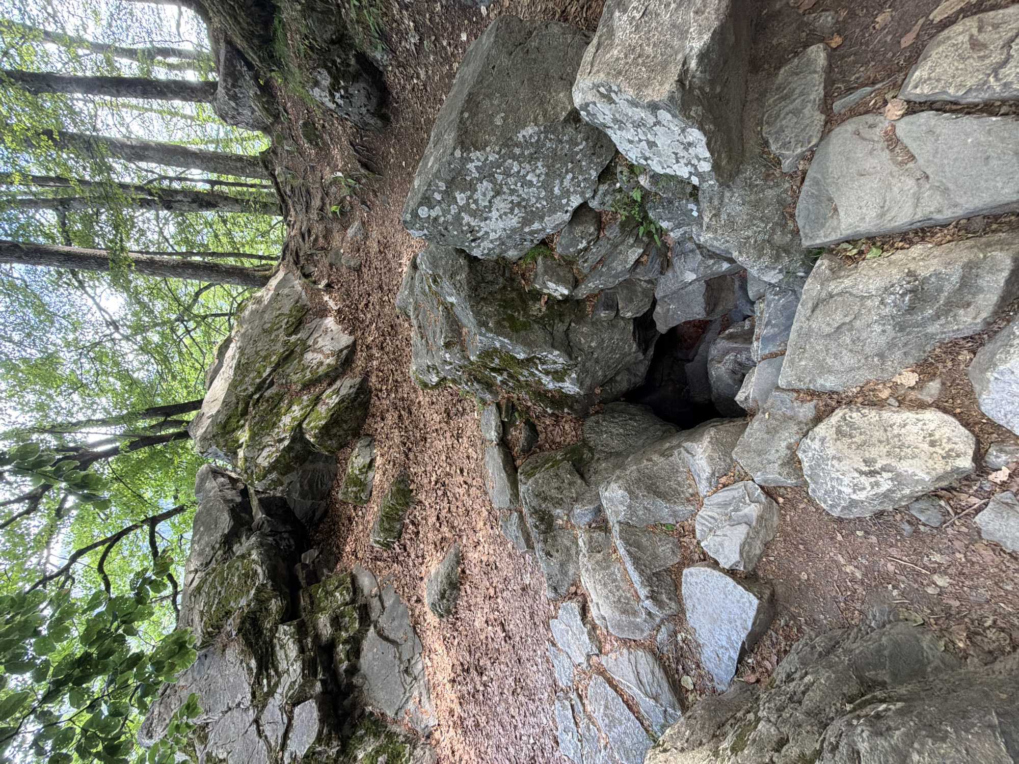 The image depicts a rocky terrain in Govedartsi, Bulgaria. Grey rocks of varying sizes form a natural staircase or path, covered partially by fallen leaves and moss. A dark crevice or small cave is visible between some of the rocks. Above, there are trees with green leaves, their branches reaching towards the sky. The scene suggests a natural, wooded environment. No people or animals are visible.