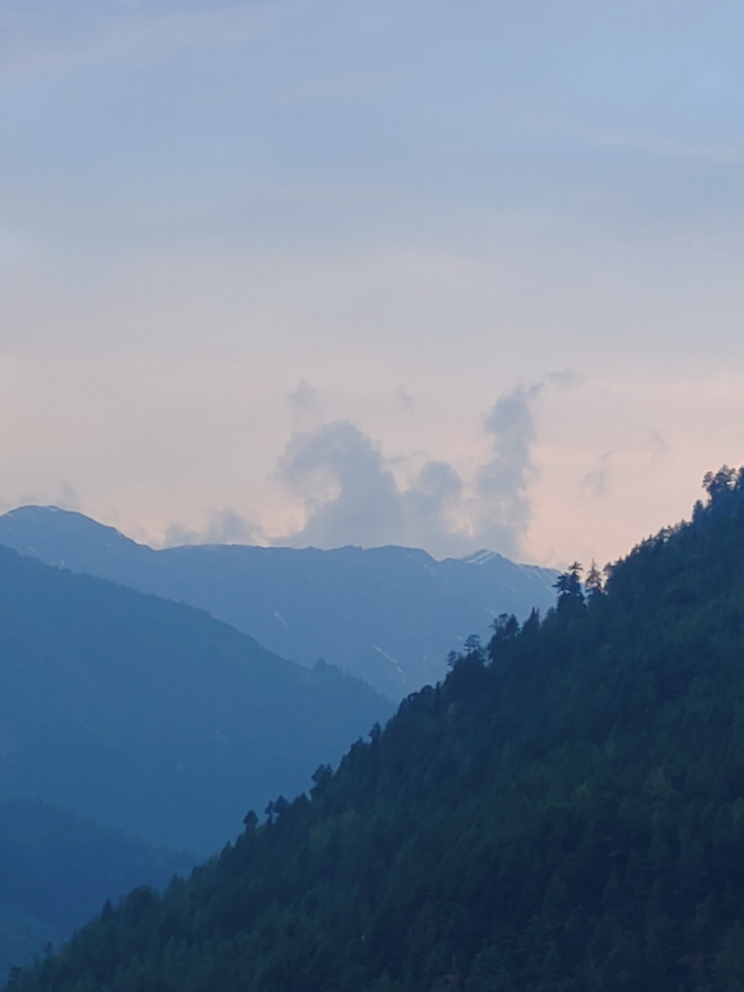 The image shows a scenic view of mountains in Vashisht, India. The foreground features a dense forest of pine trees on a steep mountainside. The middle ground displays layered mountain ranges fading into a soft blue hue. The background is a pale sky with wispy clouds, some of which are illuminated by soft, diffused light, suggesting it might be dawn or dusk. No people or specific structures are visible. The overall atmosphere is serene and natural.
