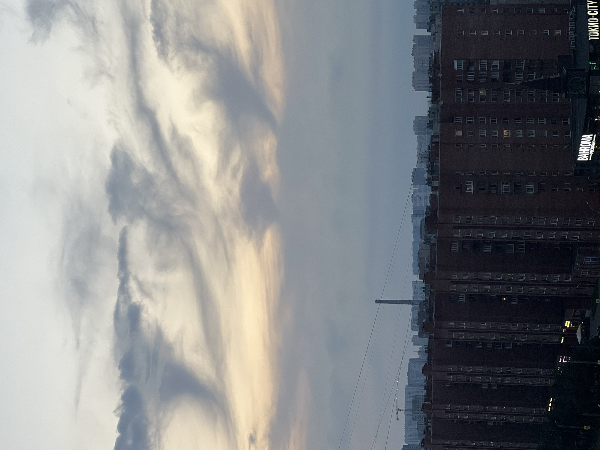 The image captures a city skyline at dusk, likely in Russia given the visible Cyrillic text. Dominating the foreground are several multi-story brick apartment buildings. Their windows, some lit from within, create a grid-like pattern against the dark facades. Below the apartment buildings, glimpses of street-level businesses are visible, including a sign with the Cyrillic word "BAHROMA" and another with "ТОКИО-CITY".
In the middle ground, a tall industrial chimney or smokestack stands prominently against the hazy sky. Further in the distance, more city buildings, appearing lighter in color and less defined due to atmospheric perspective, form a sprawling urban landscape. Overhead, a dramatic sky is filled with wispy, elongated clouds, illuminated by the fading daylight. The overall mood is subdued, characteristic of twilight in an urban environment. There are no visible people or active interactions depicted in the scene. The presence of overhead power lines suggests an established urban infrastructure.