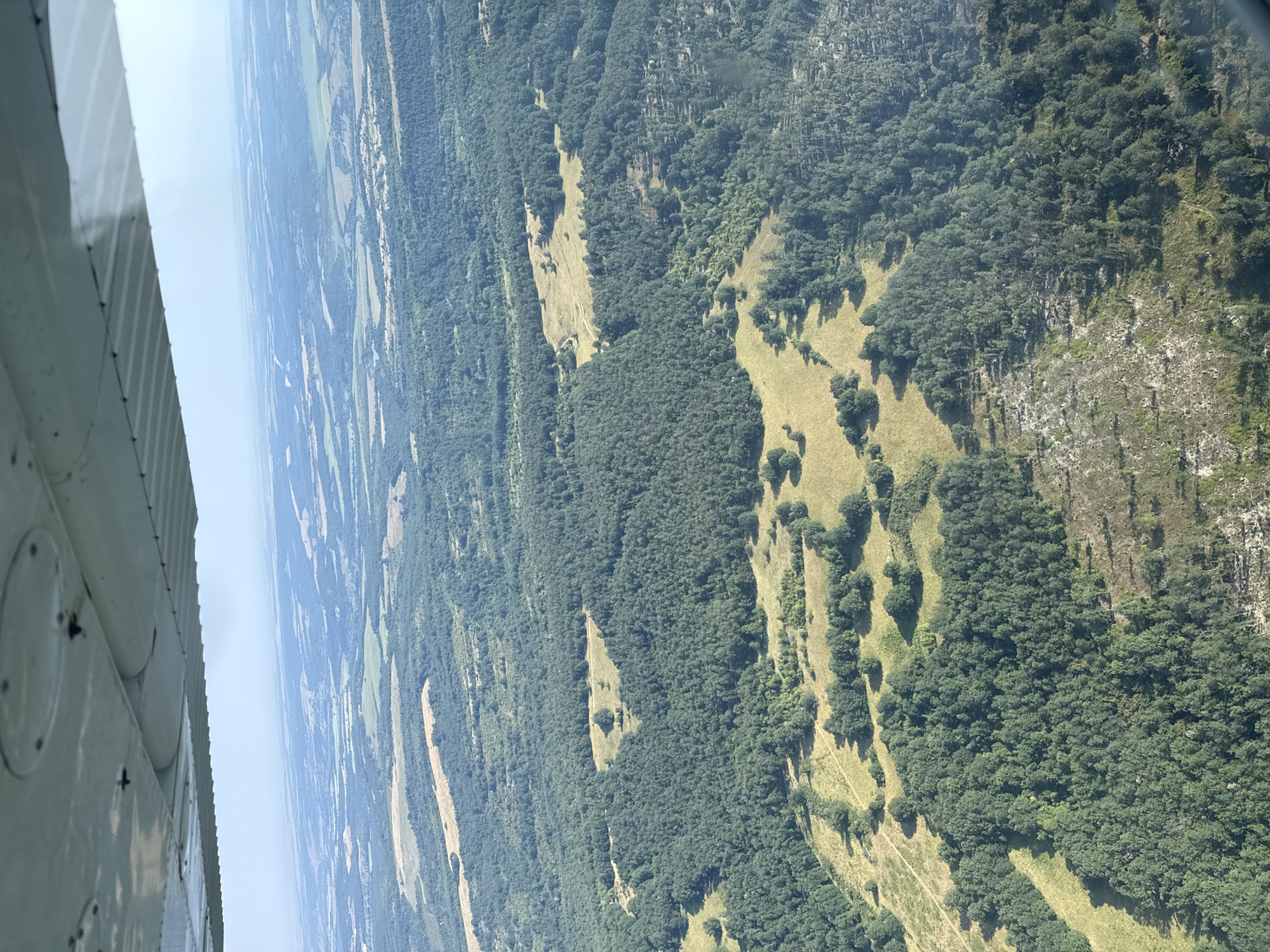 An aerial view shows a vast expanse of dense, green forest interspersed with patches of dry, yellow grass. The landscape is characterized by rolling hills and a hazy horizon, suggesting a clear but possibly humid day. In the foreground, the underside of an aircraft wing is visible, its metallic surface showing rivets and circular access panels. The image appears to be taken from a light aircraft flying over a rural area. There are no people or animals visible in the scene. The environment suggests a natural, undeveloped landscape with agricultural fields visible in the distance. There is no indication of the city of Kirkova mahala, Bulgaria.