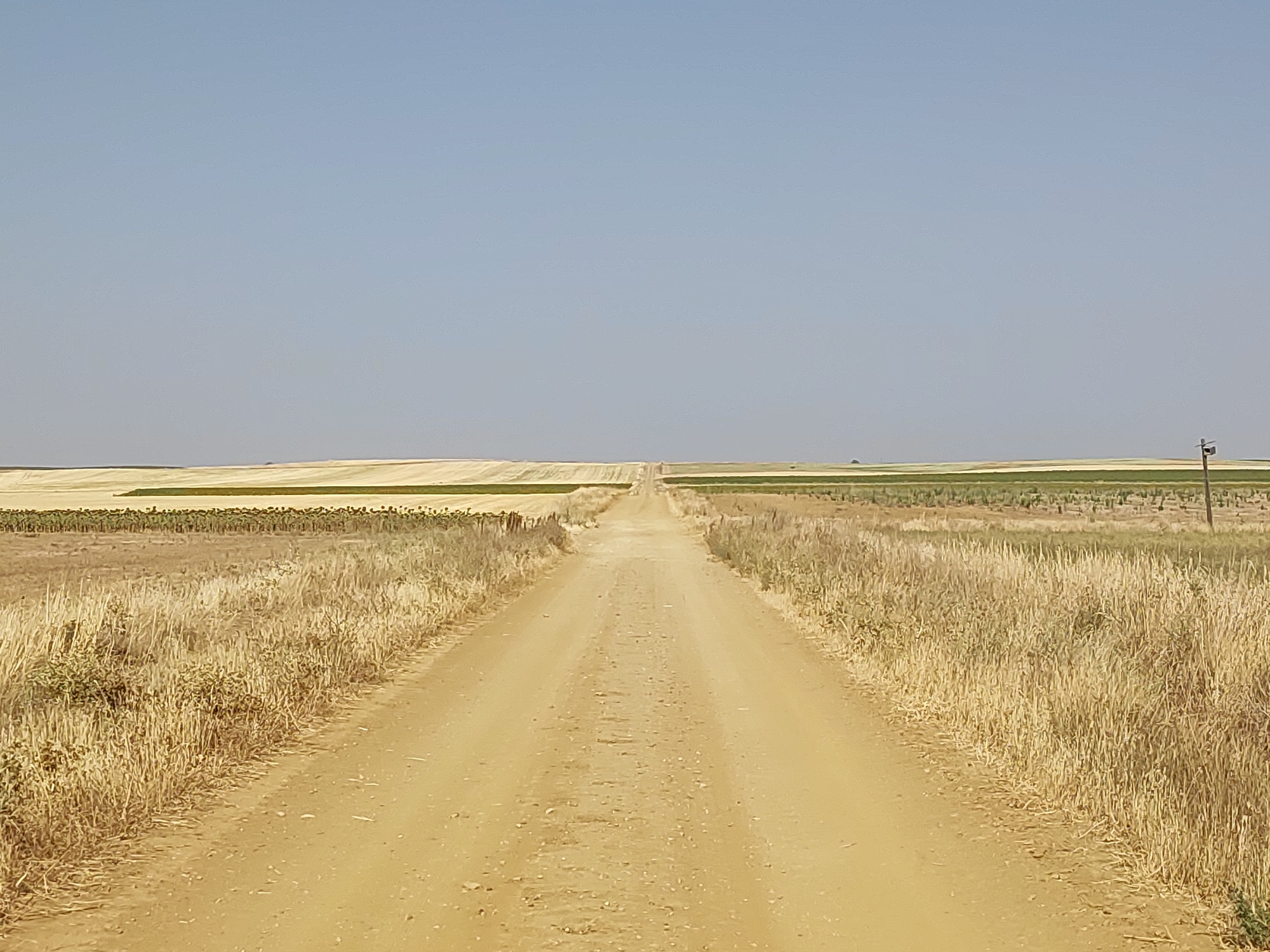 The image shows a dirt road stretching into the distance through a rural landscape under a clear sky. On either side of the road are fields of dry, golden grass and crops. In the distance, there appear to be cultivated fields with some areas of green and lighter colored crops. A single utility pole is visible on the right side of the image in the far distance. The overall scene depicts a sparsely vegetated, arid rural environment. The location is identified as Autillo de Campos, Spain, suggesting a possibly agricultural or pastoral setting. There are no people or animals visible in the image.