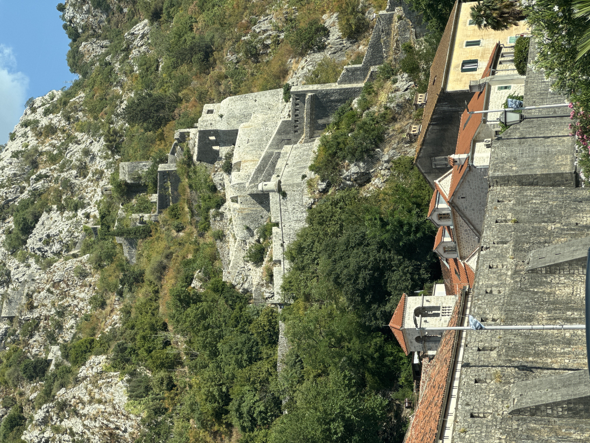 The image shows the imposing defensive walls of the Fortress of San Giovanni (also known as St. John's Fortress) snaking up a steep, rocky mountainside above the city of Kotor, Montenegro. The ancient stone fortifications are interspersed with lush green trees and vegetation, indicating a natural landscape integrated with human construction. In the foreground, parts of the old city walls are visible, constructed with large, rough-hewn stones. Several residential buildings with red-tiled roofs are clustered behind these walls, some with visible windows and architectural details such as a bell tower. The scene is bathed in bright sunlight, suggesting a clear, sunny day. The mountain itself is rugged and rocky, with sections of the fortress clearly built into the natural terrain. The overall impression is one of historical significance and a dramatic natural setting.