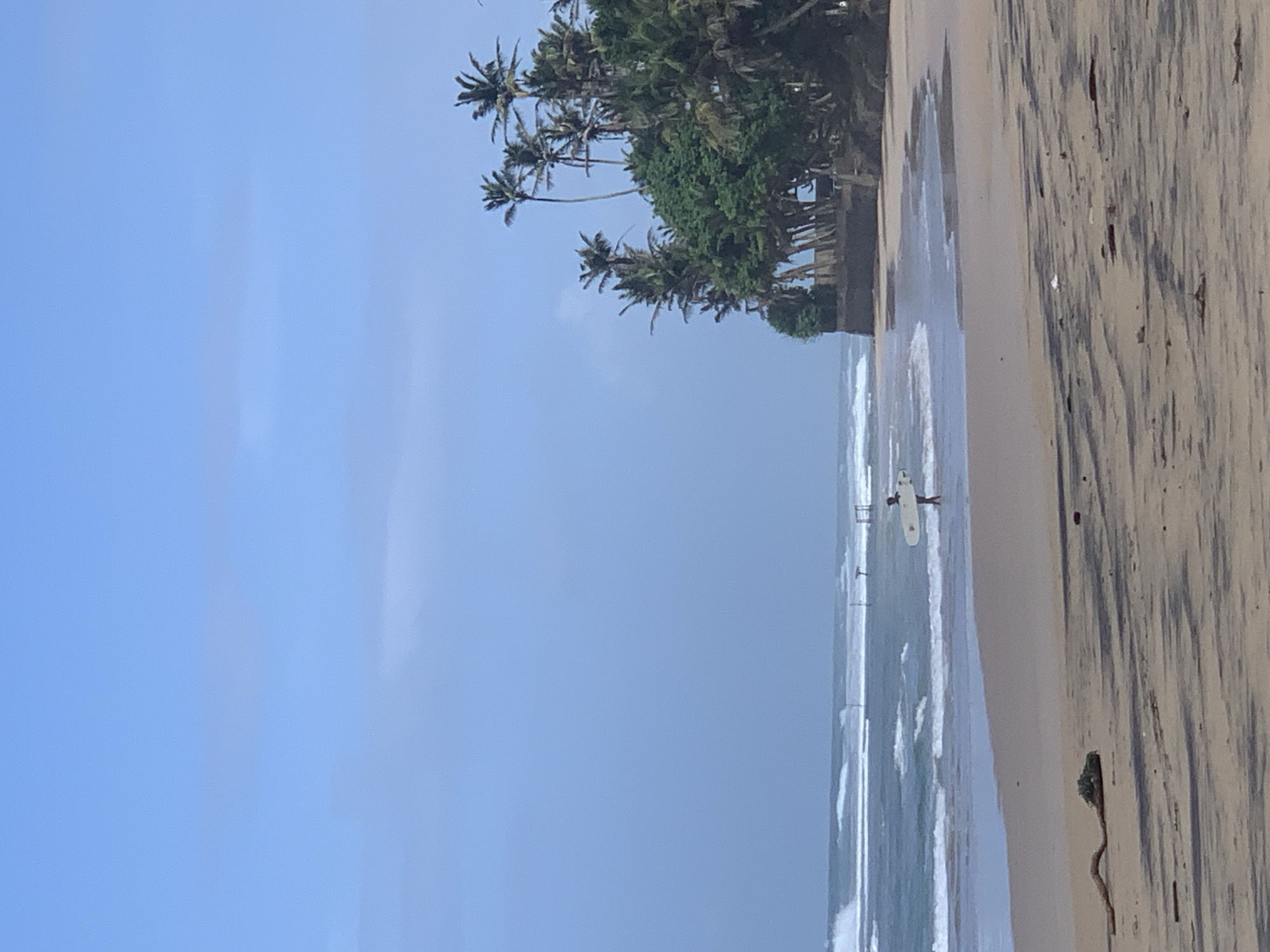 A serene view of Kathaluwa beach, Sri Lanka, unfolds under a hazy blue sky. The foreground is dominated by a sandy beach, marked with shadows and scattered debris, including a piece of driftwood entangled with green netting. In the middle ground, the gentle waves of the Indian Ocean recede from the shore. A lone surfer, silhouetted against the water, carries a white surfboard. The background features a dense cluster of palm trees and lush green vegetation, rising from a stone embankment, suggesting a tropical landscape.