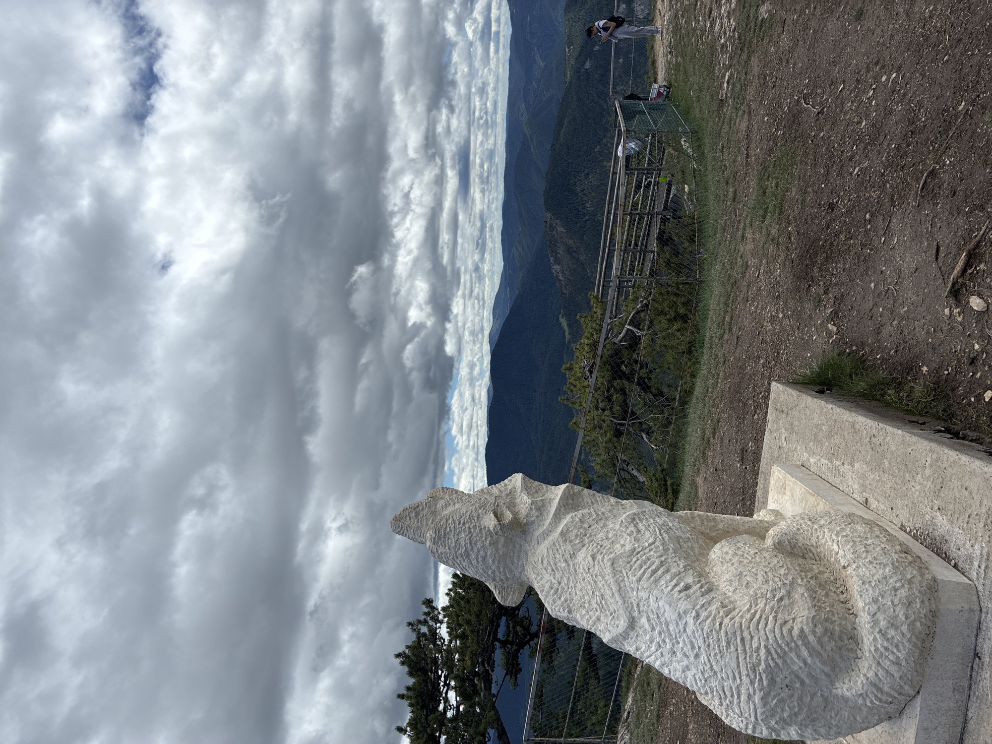 A landscape photograph is presented from a high vantage point, seemingly from a mountain peak in Giovren, Bulgaria. The scene includes a white stone sculpture of a wolf prominently in the foreground, its head pointing towards a mountainous landscape. The sculpture is weathered, showing textured surfaces.
The background is dominated by a series of mountain ranges stretching to the horizon under a cloudy sky. The clouds are dense, with patches of blue sky visible. A railing fence is present, indicating an observation point or a protected area near the edge of the peak.
A person is seen standing near the fence. The ground is rocky and partially covered with vegetation. The photograph is taken during the day, under overcast conditions.