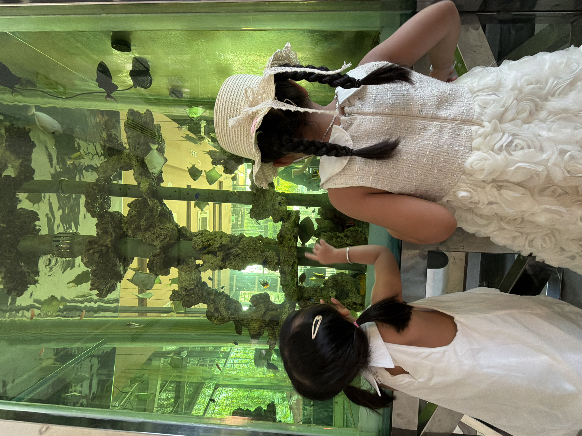 Two young girls stand in front of a large, brightly lit aquarium filled with fish. The girl on the left, wearing a white dress, has dark hair in pigtails and is pointing at the aquarium. The girl on the right wears a white dress and a straw hat, and her dark hair is in braids. The aquarium has coral decorations and several varieties of fish. The environment appears to be indoors, possibly a public space such as a resort or restaurant. The lighting is green, suggesting the aquarium's lighting or a green-tinted glass. This scene is consistent with a location in Nha Trang, Vietnam, known for its aquatic attractions and resorts.
