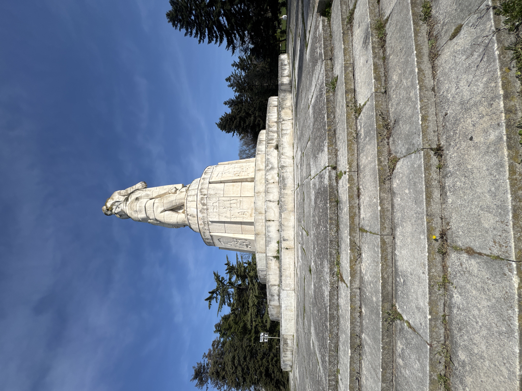 The image features a large, imposing stone monument set against a bright, clear blue sky with minimal wispy clouds. The central subject is a heroic-looking male statue, possibly a soldier or freedom fighter, standing tall on a substantial, tiered stone pedestal. The pedestal's surface is adorned with carved bas-reliefs depicting figures and scenes, adding historical narrative to the structure.
A wide, sweeping set of stone steps leads up to the monument from the foreground. These steps appear weathered, with noticeable cracks and patches of grass, weeds, and moss growing between the slabs, suggesting a period of exposure to the elements. A small yellow flower is visible among the weeds on one of the steps. Dark green coniferous trees frame the monument, providing a lush backdrop and contrasting with the light stone and sky.
The scene is an outdoor setting, likely a public park or memorial site, characterized by its static nature with no human activity present. The strong, direct sunlight indicates a daytime shot, likely midday or early afternoon. The monument's style and the setting are typical of historical or war memorials, fitting its location in Varna, Bulgaria. No discernible text is visible on the monument or surrounding elements.