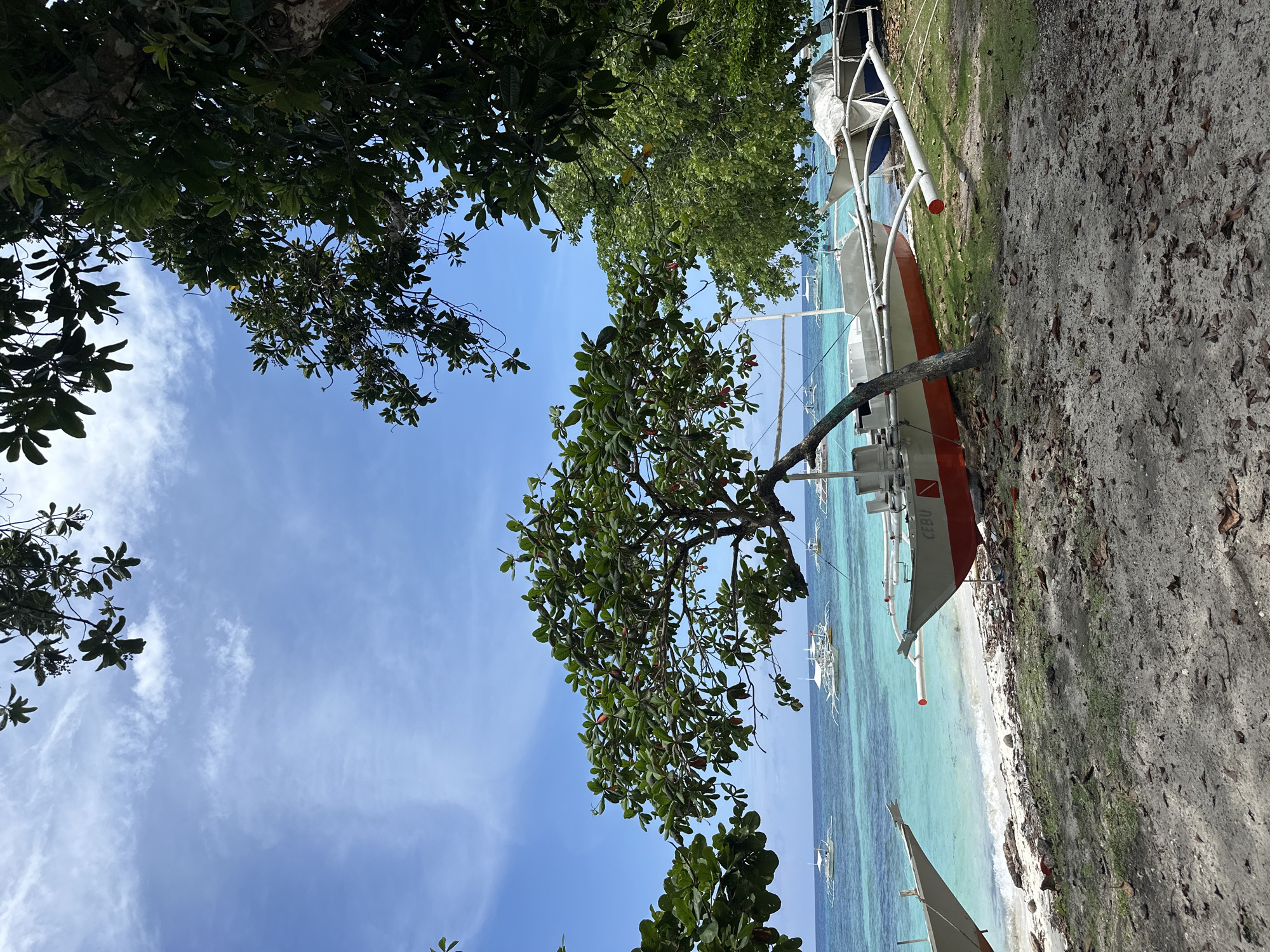 The image depicts a serene tropical beach scene in Panglao, Philippines, with several outrigger boats resting on the shore. The water is a vibrant turquoise, contrasting with the white sand and lush green foliage that frames the scene. The sky is a clear blue, dotted with a few wispy clouds. In the foreground, one of the boats has "CEBU" written on its side. The overall impression is one of tranquility and natural beauty, typical of a seaside paradise.