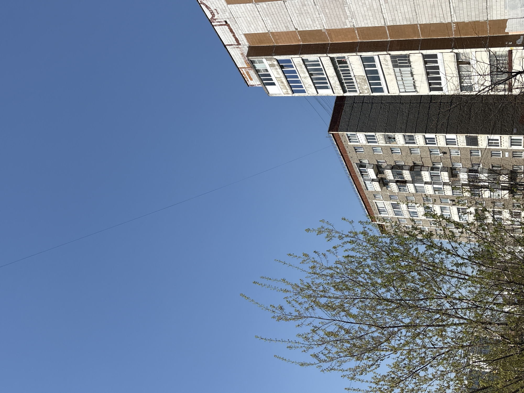 The image shows a view looking up at two buildings and a tree in Izhevsk, Russia, under a clear blue sky. The buildings are Soviet-era apartment blocks, one with white and brown tiled exterior walls and the other with a grey concrete exterior. Both buildings have multiple rows of windows. A thin wire is visible against the sky, stretched between the buildings. In the lower right corner, a tree with budding leaves is partially obscuring the building.