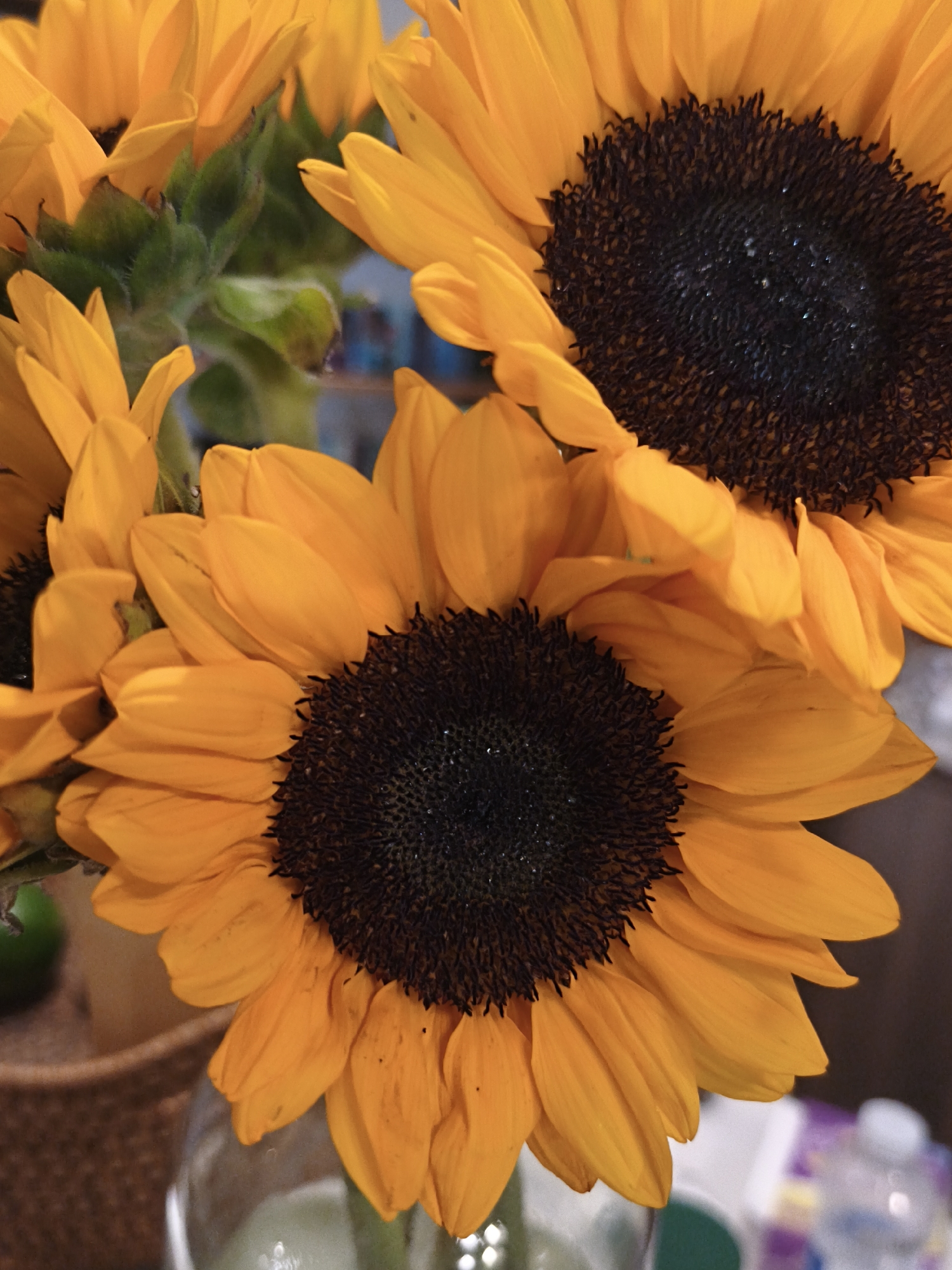 Three sunflowers are arranged in a vase, with their bright yellow petals and dark centers dominating the frame. The flowers are clustered together, with some petals overlapping. The background is blurred, but hints of a woven basket and green foliage can be seen. The image appears to be a close-up shot, focusing on the intricate details of the sunflowers. There are no people visible in the image. The specific location in Bac Nha Trang Ward, Vietnam, cannot be determined from the visual information provided.