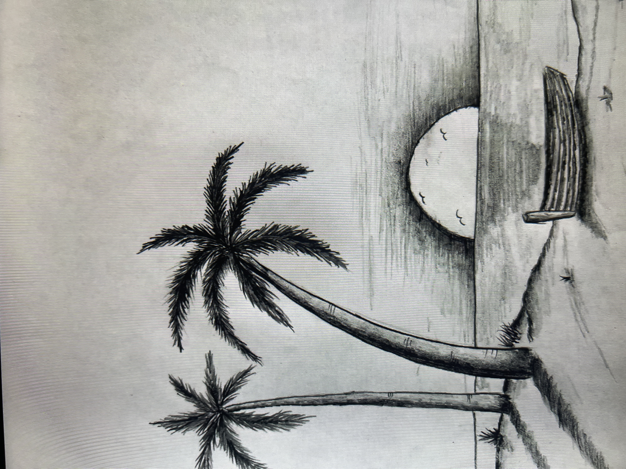 The image is a black and white pencil sketch of a tropical beach scene at sunset. Two palm trees dominate the left side of the frame, with one standing tall and slender, and the other leaning dramatically to the right. The ground appears to be sandy, with small tufts of grass scattered about, and shadows cast by the palm trees. A body of water is depicted in the mid-ground, and a crescent shape representing the setting sun is visible on the horizon, partially obscured by clouds. Several small birds are silhouetted against the sun. In the foreground, on the beach, rests a rowboat. The overall style is representational, with a focus on shading to create depth and atmosphere. There is no indication of the city of Qarağandı city administration, Kazakhstan, or any urban elements within the drawing.