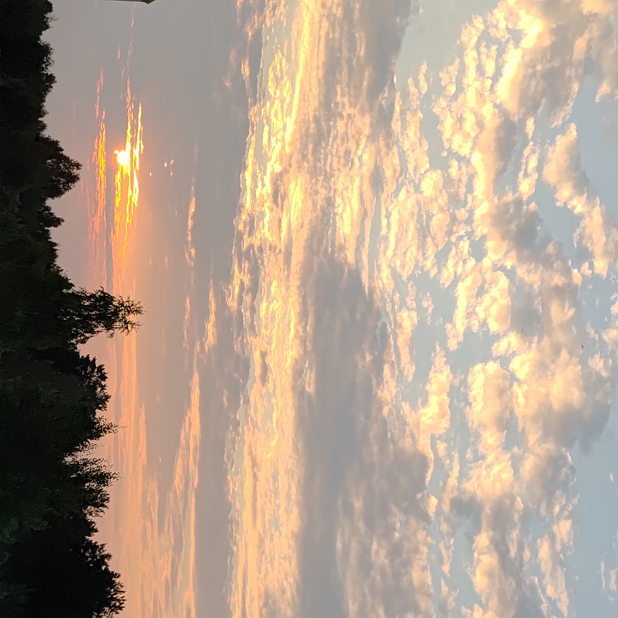 This image captures a sunset scene in Markovsky, Russia. The sky is filled with a mix of light blue and soft peach clouds, with streaks of golden sunlight breaking through. The sun itself is partially visible, casting a warm glow. Below the sky, a dark silhouette of trees forms the horizon line. A tall, light-colored structure, possibly a building or tower, is visible on the far left edge of the frame. There are no people or animals visible in the image.