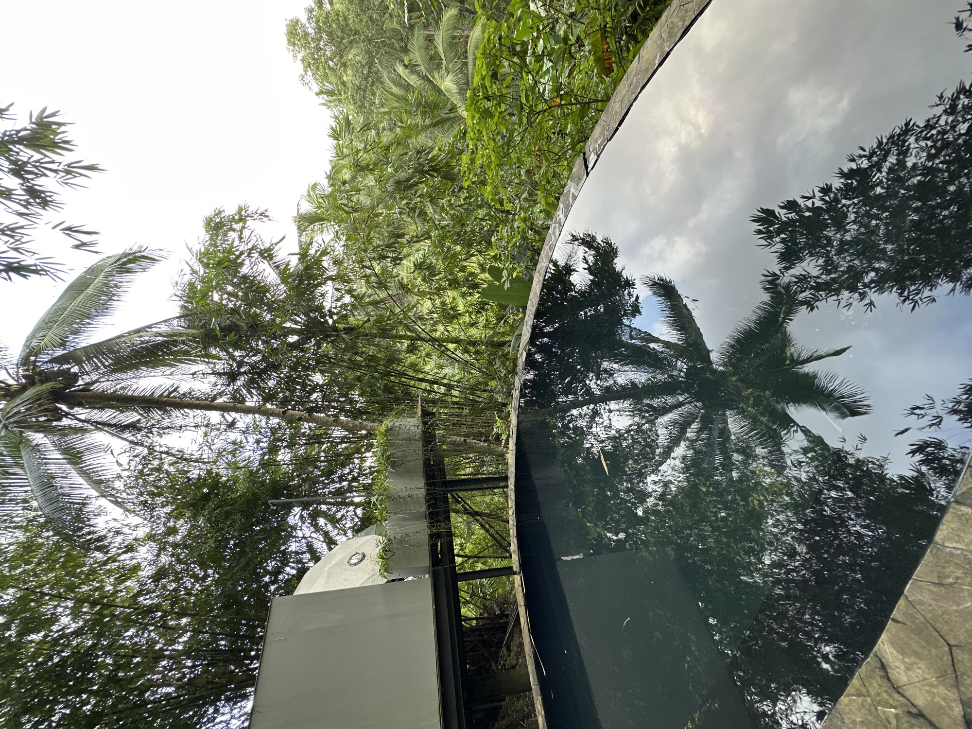 The image captures an outdoor scene in Licin, Indonesia, showing lush tropical foliage reflected in a dark, still pool of water. Palm trees and dense green vegetation surround the pool, creating a sense of immersion in nature. The water's surface acts as a mirror, reflecting the sky and the surrounding trees. A partially visible gray structure is located near the pool's edge, with metal framing and vegetation growing on it. The sky appears overcast, contributing to the overall dim lighting. The perspective is unusual, giving a slightly disorienting view.