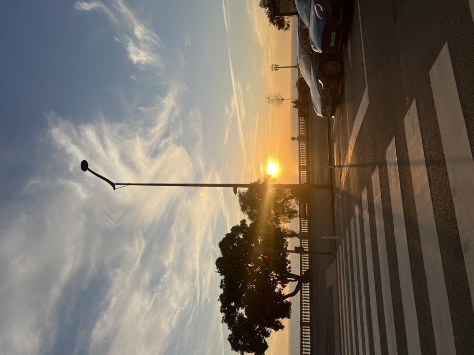 The image captures a coastal scene at sunset in Aldoar, Foz do Douro e Nevogilde, Portugal. The sun, a bright orange orb, is low on the horizon directly over the Atlantic Ocean, casting strong backlighting and long shadows. The sky above is a gradient from deep orange at the horizon to clear blue overhead, populated by thin, wispy white cirrus clouds.
In the foreground, a white-striped pedestrian crosswalk traverses a dark asphalt road. To the right of the crosswalk, two vehicles are parked facing right. The closer vehicle is a dark grey Tesla, with its front headlights illuminated. Adjacent to it, a blue Ford Puma displays the license plate "AT 58 UV" and also has its headlights on.
A tall, dark modern street light, featuring a curved arm and a circular light fixture, stands prominently in the midground, silhouetted against the sun. To the left, a large, dense tree is heavily silhouetted, partially obscuring the sun's brilliance. Along the coastline, a white stone balustrade with decorative pillars extends horizontally. Behind the balustrade, on a promenade, several indistinct human figures are visible in silhouette, with at least two individuals seated and others standing. Further right, another traditional-style street lamp is visible. The water surface appears calm and dark under the setting sun.