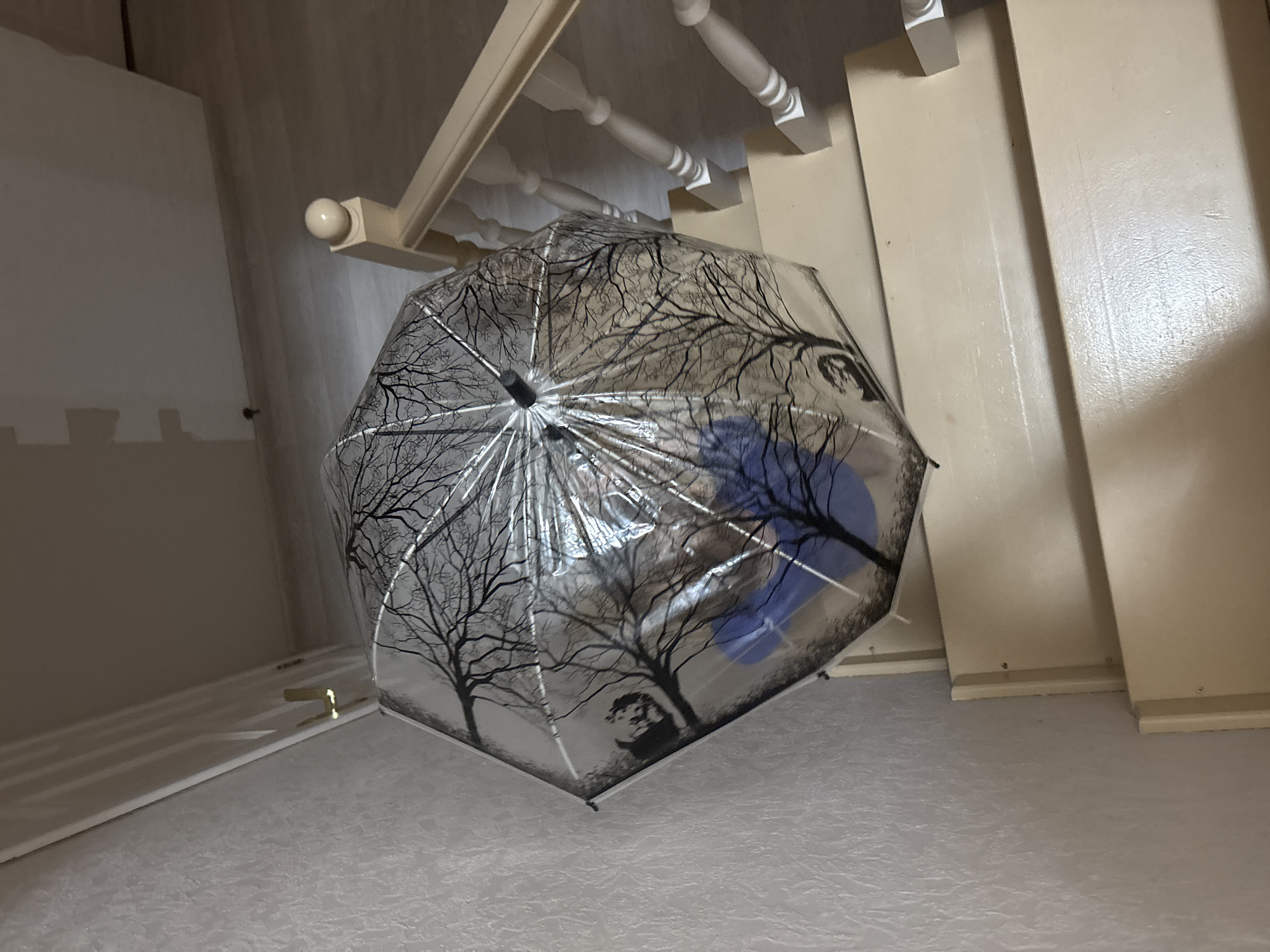 The image shows a clear umbrella with a black tree design. The umbrella is positioned in what appears to be a staircase or hallway, possibly near the bottom of the stairs. The background consists of light-colored walls and woodwork. The environment seems to be indoors. There is no visible indication of the location being in Ферма, Russia. No people are visible.