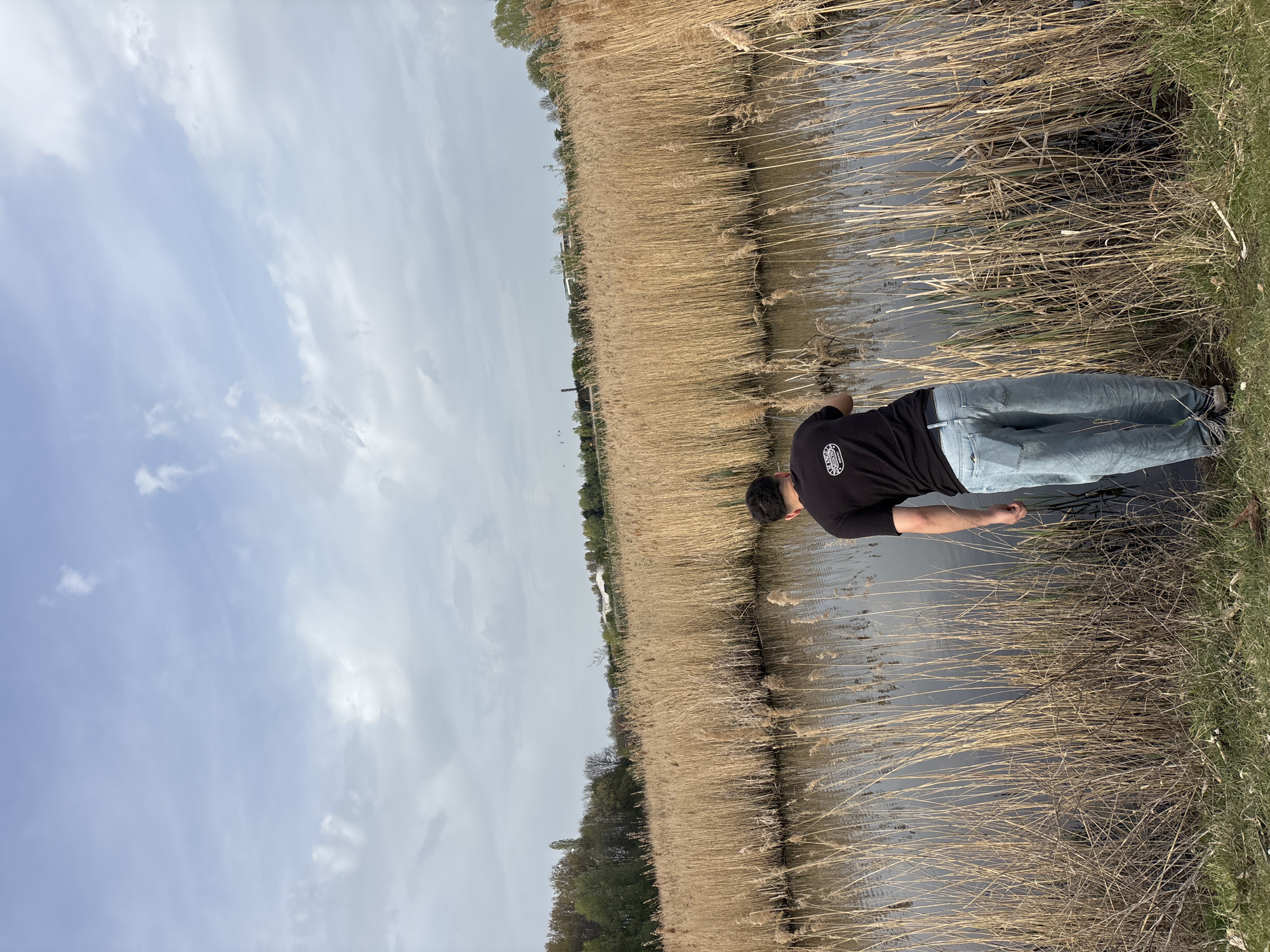 A man stands along a waterway. He wears a black shirt and light blue jeans. The waterway is bordered by tall reeds on the left and grass on the right. The sky is partly cloudy. The location is likely in Kruibeke, Belgium, based on the presence of similar landscapes.