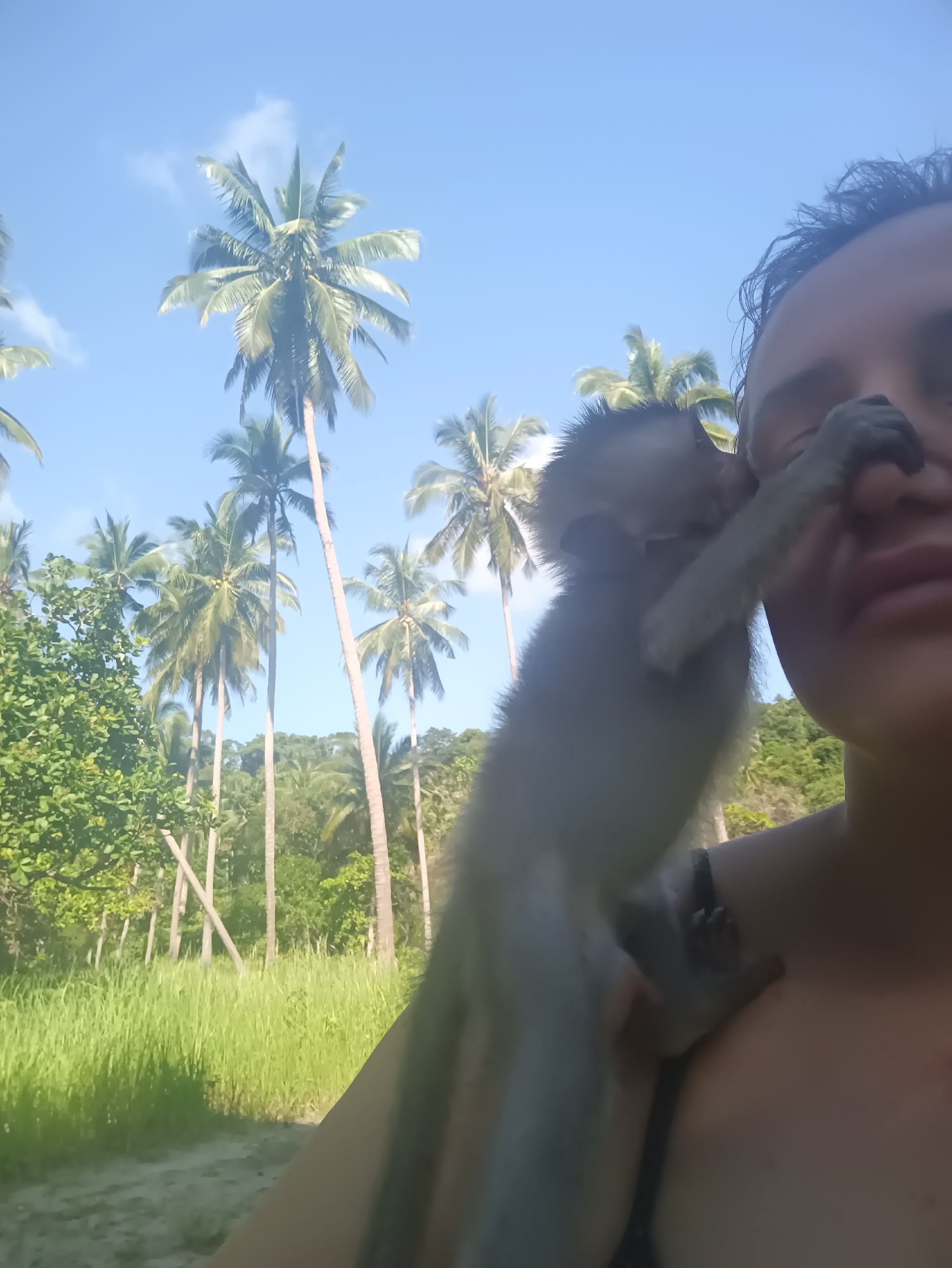 A close-up, high-angle selfie captures a person (partially visible face, dark hair, wearing a dark top with a visible strap) with a small, light-furred monkey perched on their shoulder and upper chest. The monkey's left hand is near the person's eye and nose, while its right hand rests on the person's shoulder, indicating a playful or curious interaction.
The background reveals a vibrant tropical landscape under a clear blue sky with scattered white clouds. Numerous tall coconut palm trees with green fronds dominate the mid-ground and background, extending towards the horizon. Below the palms, there is lush green grass and dense tropical vegetation. A sandy or dirt path is visible on the lower left. The scene is illuminated by bright, clear sunlight, indicating daytime. This tranquil tropical setting is located in Baan Thong Nang, Thailand.