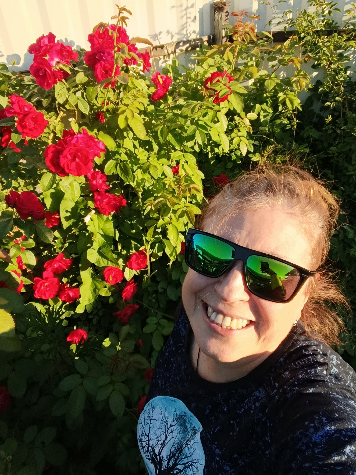 A medium shot selfie shows a smiling woman with blonde hair, wearing black sunglasses and a dark t-shirt with a blue and white pattern of a bare tree against a moon. She is standing in front of a rose bush with bright red flowers and green leaves, with a white wooden fence in the background. The lighting suggests it is daytime, possibly late afternoon, with sunlight casting shadows. The image appears to have been taken outdoors, likely in a garden or yard, and the location is identified as Verea, Russia. The reflection in the sunglasses shows the woman holding a mobile phone, suggesting she is taking the photo herself.