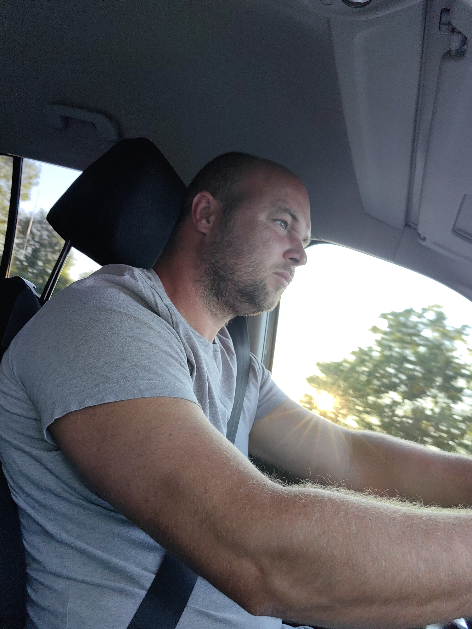 A man with a shaved head and stubble is driving a car. He is wearing a grey t-shirt and a seatbelt. The sun is setting, casting a warm glow through the trees outside the car window. The scene appears to be on a road in the Dzyarzhynsk rural council, Belarus, judging by the foliage and style of the car interior.