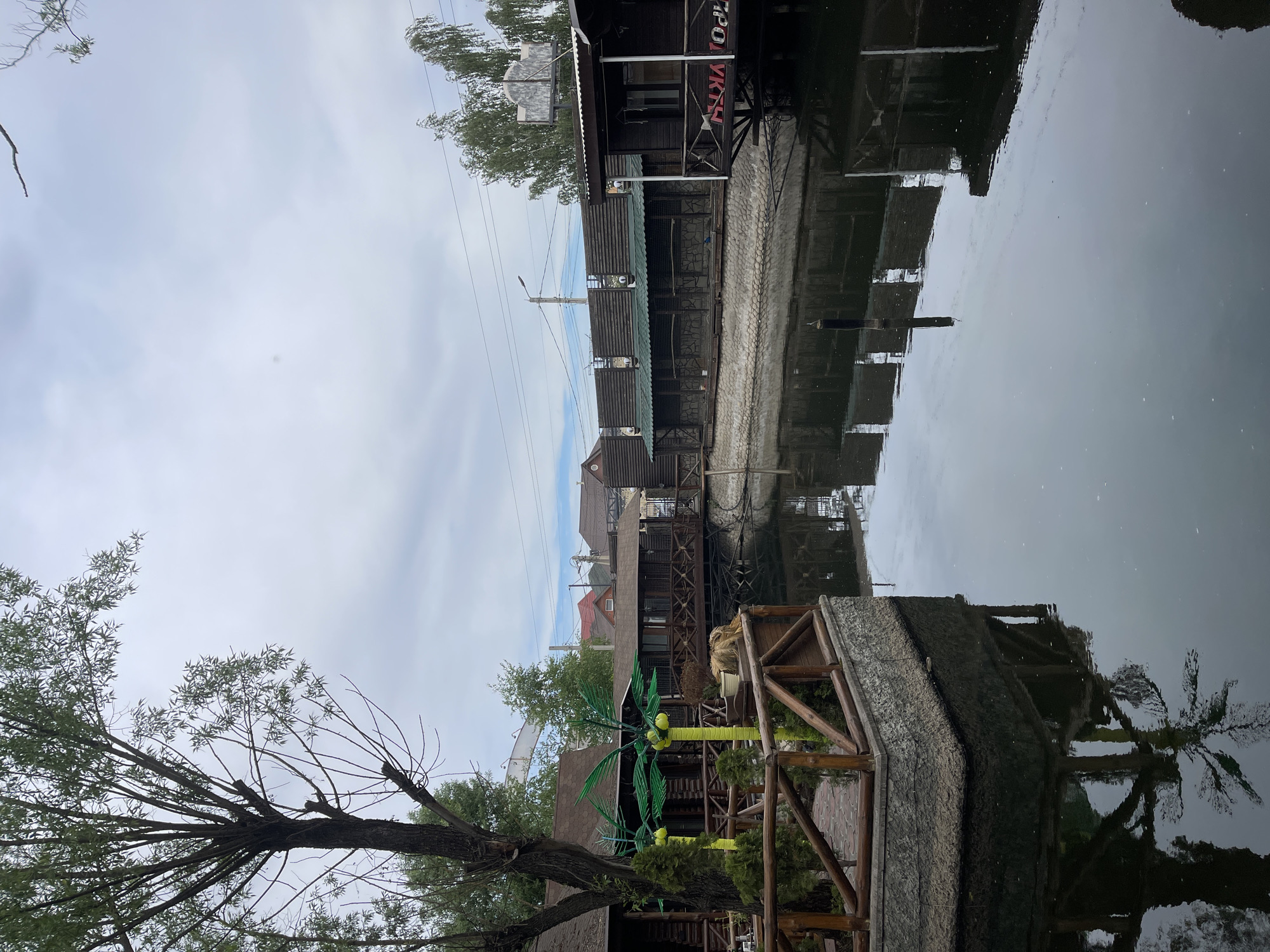 The image depicts a waterfront scene in Molokovo, Russia, with reflections of buildings and trees visible in the water. The architecture consists of wooden structures, some of which appear to be built directly over the water. A decorative, artificial palm tree stands near a wooden fence or walkway. The sky is overcast. There are power lines overhead.