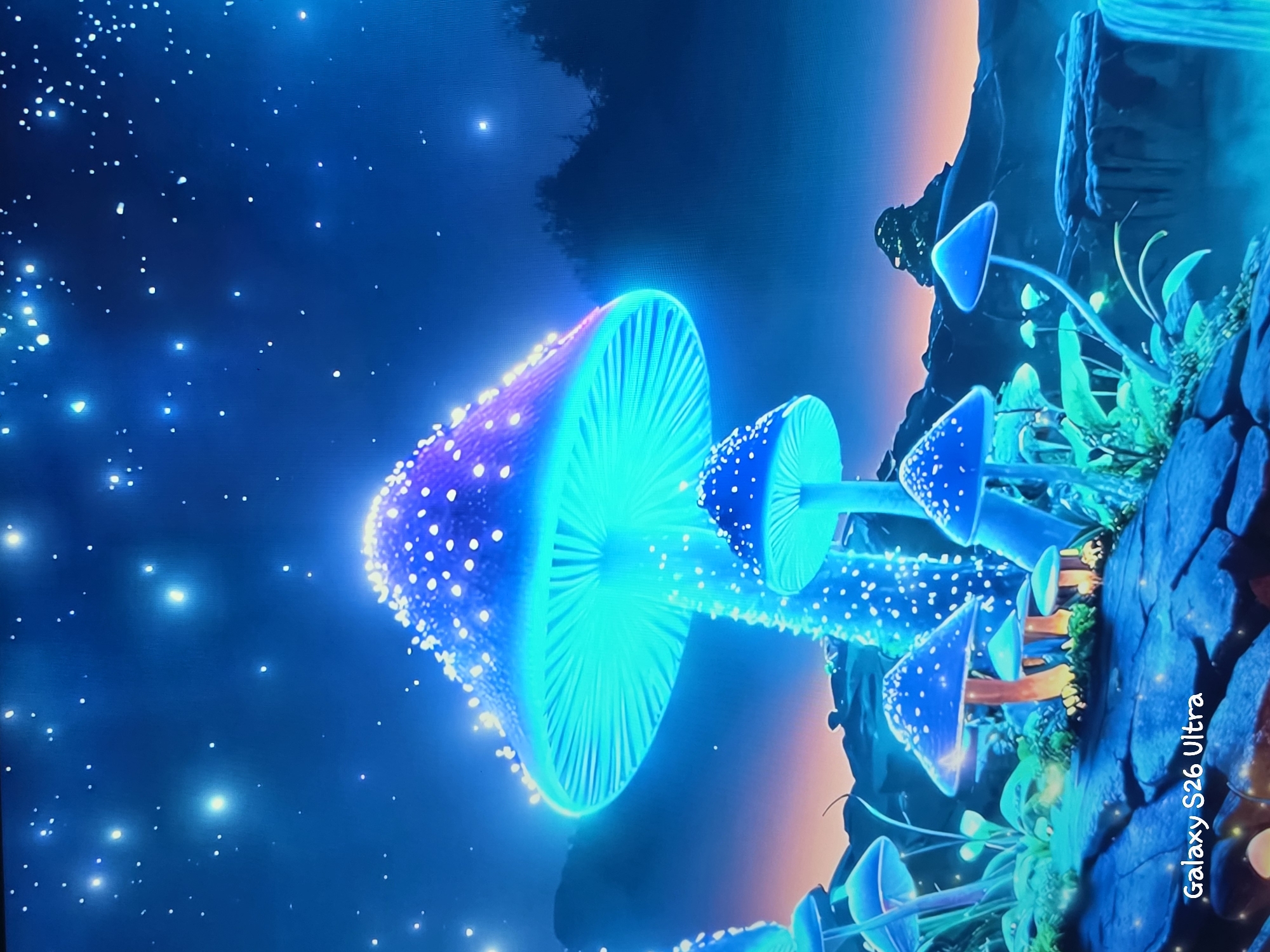 The image depicts a fantastical, bioluminescent landscape at night. Giant mushrooms, glowing with vibrant blue and purple light, dominate the foreground. They are adorned with numerous small, bright white spots, giving them a speckled appearance. The caps of the mushrooms are wide and ethereal, with visible gills underneath emitting a soft turquoise glow. Smaller mushrooms and glowing flora surround the larger specimens, creating a magical and otherworldly atmosphere.
The background features a deep blue night sky filled with twinkling stars, some of which are larger and brighter, suggesting distant celestial bodies or perhaps more of the magical luminescence from the landscape. Silhouetted trees and rolling hills are visible in the middle ground, bathed in the dim light of the scene. The overall color palette is cool, with dominant blues, purples, and hints of orange or pink on the horizon where the sky meets the land.
The bottom left corner of the image contains a watermark that reads "Galaxy S26 Ultra".
There are no people, animals, or explicit man-made structures visible in the scene. The image is purely an artistic representation of a magical, natural environment.
The request for a location in the city of Plovdiv, Bulgaria, is incongruent with the provided image, as the image is clearly a fantasy landscape and does not depict any recognizable location in Plovdiv or any real-world city.