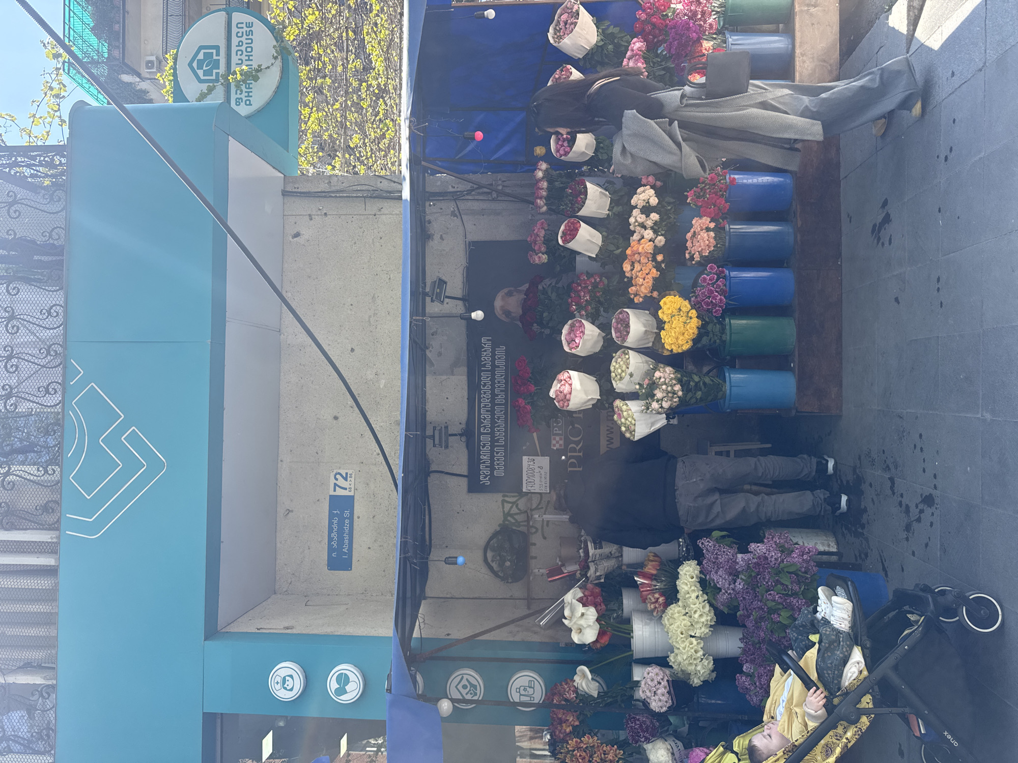 This media file captures a vibrant outdoor flower stall set up on a sidewalk in Tbilisi, Georgia, under clear, sunny daytime conditions. The scene is dominated by an extensive display of fresh flowers arranged in bouquets and buckets.
The flower stall features a blue tarp canopy providing shade over numerous varieties of flowers, including roses in various colors (red, pink, orange, yellow), white and purple lilacs, tulips, and other mixed bouquets, many wrapped in white paper. These are stored in blue, green, and white buckets. Behind the main display, two individuals are present: one person wearing a dark top and grey pants stands near the flowers, while another with long dark hair leans over a bucket, seemingly tending to or selecting flowers. A baby lies in a black Anex brand stroller at the bottom right of the frame, surrounded by the floral display.
The stall is positioned adjacent to a building, part of which is identifiable as a pharmacy due to a prominent round sign with Georgian script "ფარმ ჰაუსი" and "PHARM HOUSE," accompanied by a green cross logo. Another blue street sign reads "ი. აბაშიძის ქ. / I. Abashidze St. / 72 / 68<>86," clearly marking the location. On the flower stall itself, additional Georgian text is visible, including "აღმოაჩინეთ წარმოუდგენელი სამყარო / თქვენი საყვარელი ცხოველისთვის" (Discover an incredible world / for your favorite pet) and contact numbers like "17001008436" and "568 613032." The overall impression is that of a bustling urban street scene, bright and full of life due to the colorful flowers.