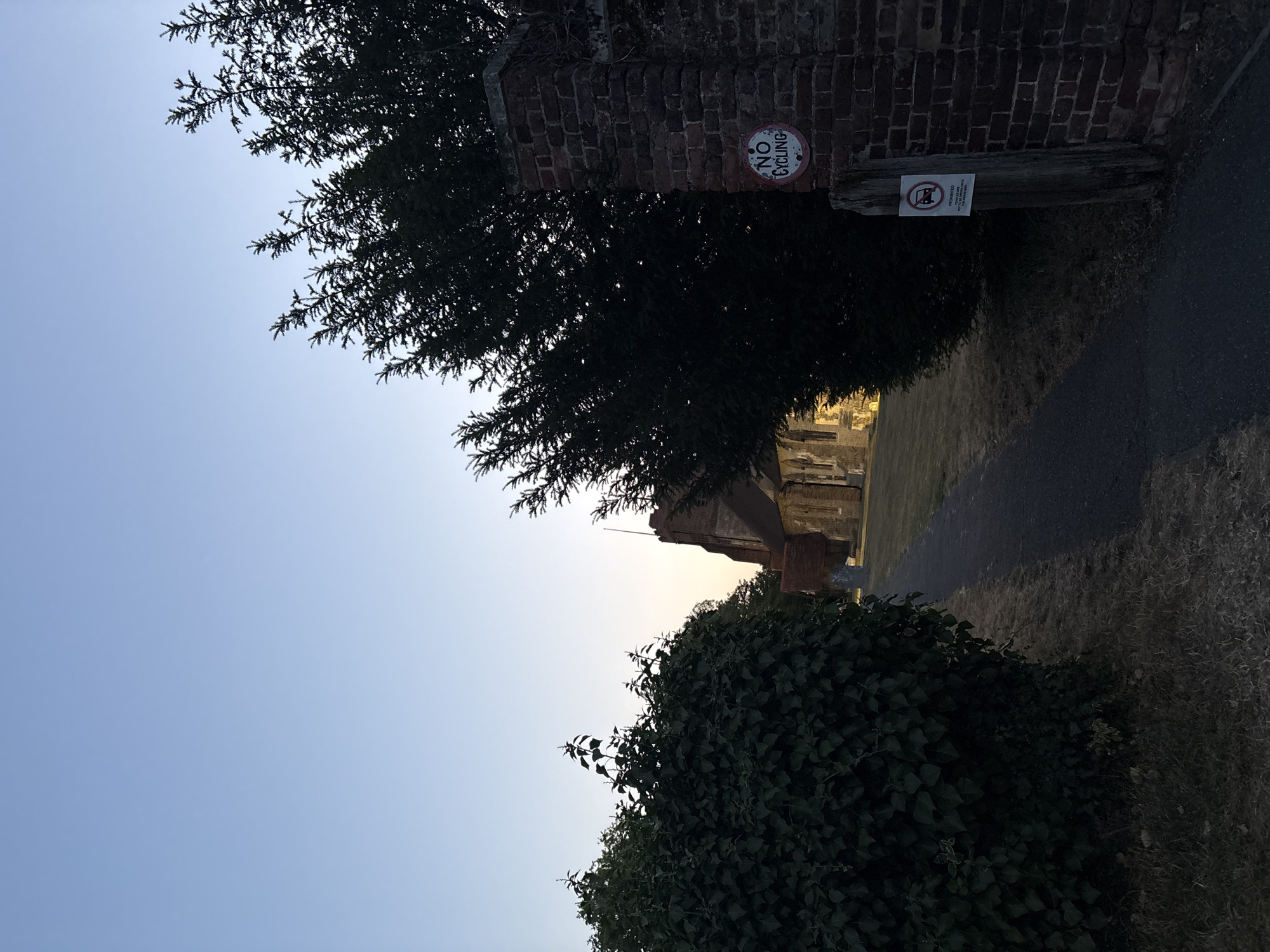 A paved pathway leads to a stone building with a red-tiled roof and arched windows, likely a church, at the end of the path. The building is illuminated by artificial light. Dense green foliage is on the left side of the pathway, and a large evergreen tree is on the right, behind a red brick wall and a wooden post. The wooden post has two circular signs: one with red lettering reading "NO CYCLING," and another below it with red lettering and a red circle with a diagonal line through a car icon, stating "PROHIBITED. VEHICLES ARE NOT TO BE OBSTRUCTED." The sky is clear and light blue. The ground on either side of the path is covered in dry grass. The scene appears to be in the late afternoon or early evening. The building is likely St. Peter's Church in the city of Chelmsford, United Kingdom, given the architectural style and the presence of a pathway leading to it.