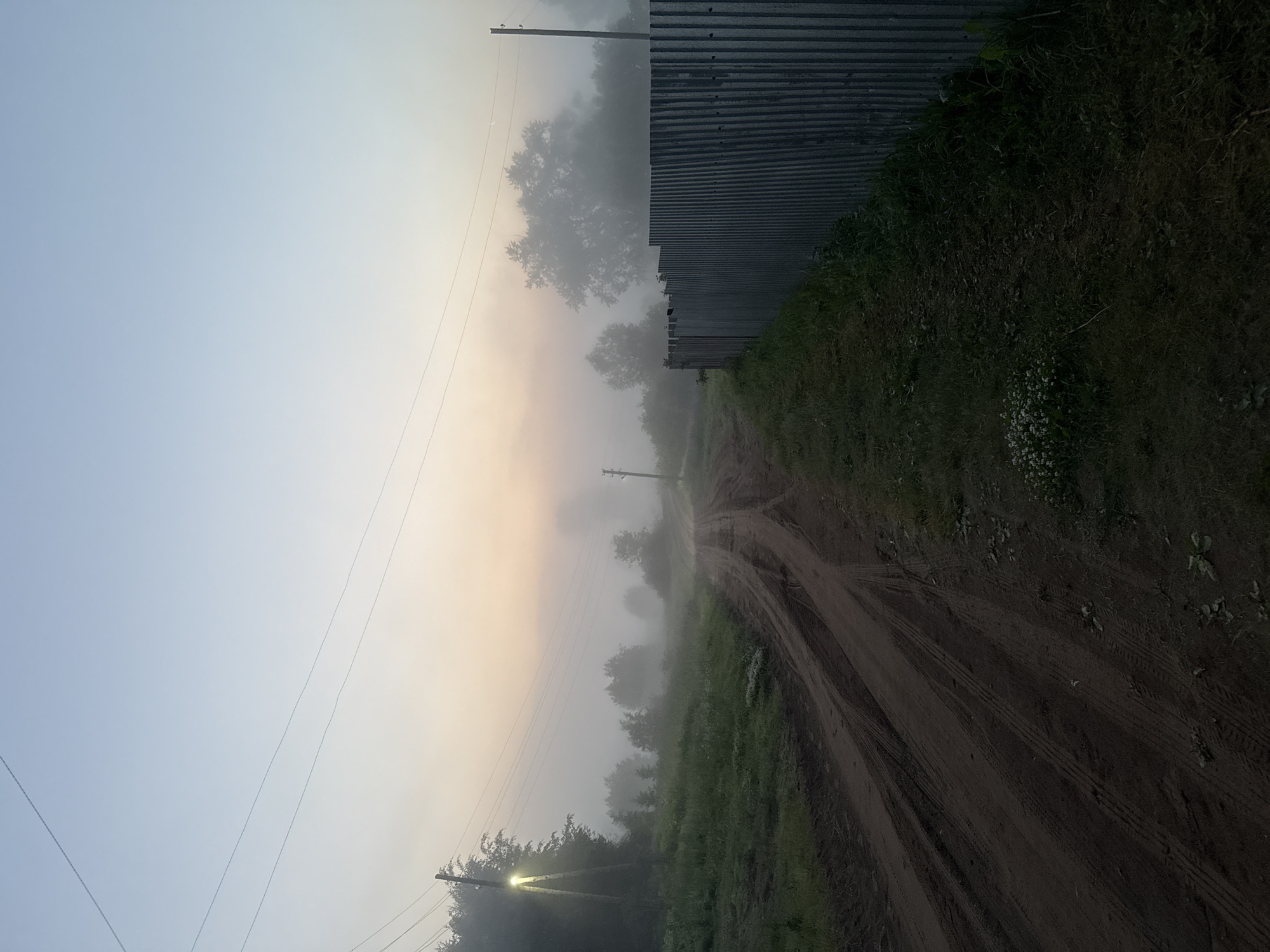 The image depicts a rural scene in the city of Uralskoye, Russia, on a foggy morning. A dirt road, marked with tire tracks, curves into the distance, partially obscured by mist. To the left of the road, a grassy area is visible, with a single lamppost illuminating the dense fog. Trees and vegetation line the road and the background, with their forms softened by the fog. A corrugated metal fence runs along the right side of the road. Overhead, power lines stretch across the sky, which transitions from a pale blue at the top to a soft, peachy hue near the horizon, indicating the early morning light. The overall atmosphere is tranquil and slightly melancholic due to the fog. No people are visible in the image.