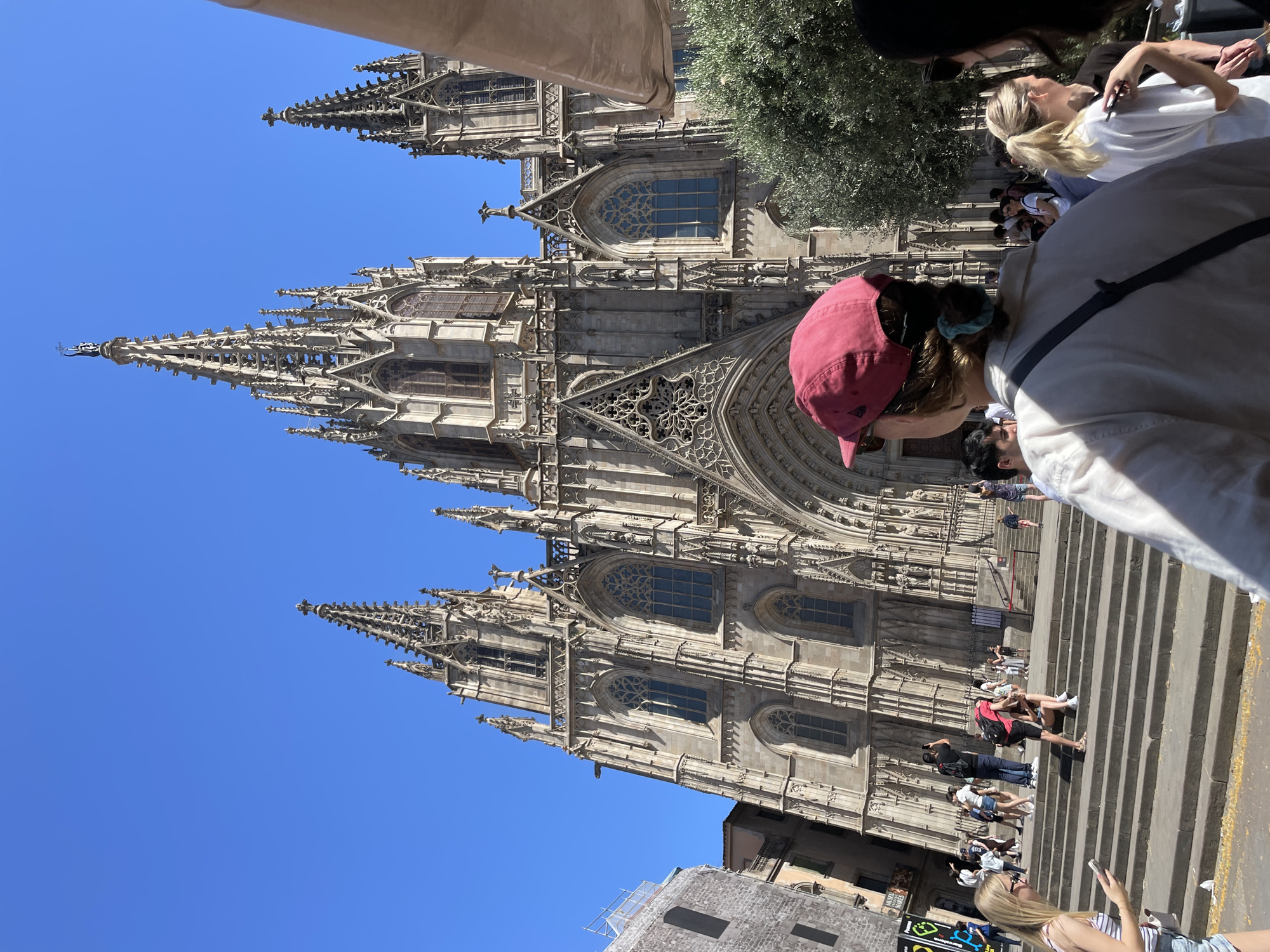 The image depicts a sunny day in Barcelona, Spain, with the Barcelona Cathedral as the prominent architectural feature. The cathedral is a large Gothic structure with intricate stone carvings, tall spires, and arched windows. In the foreground, a person wearing a red baseball cap and a light-colored shirt is viewed from behind, looking towards the cathedral. Several other individuals are scattered around the scene, some sitting on the steps leading up to the cathedral, others walking or standing. An olive tree is visible to the right of the cathedral. The sky is clear blue.