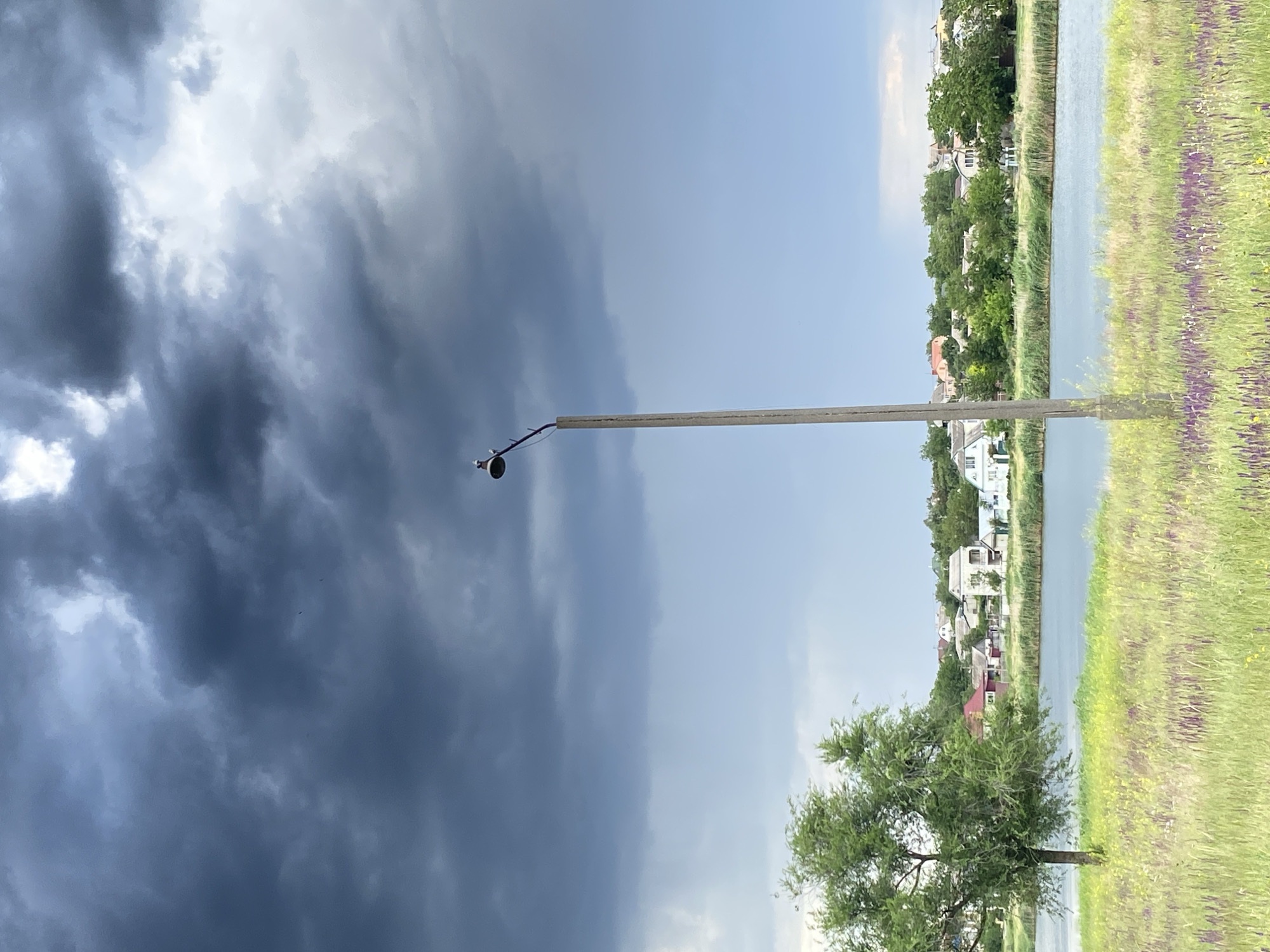 An eye-level, vertical, full shot captures a tranquil scene with a dramatic sky. In the foreground, tall, green grass, interspersed with purple wildflowers, stretches across the frame. A lone, slender tree with light green foliage stands to the left, its trunk dark and textured. To the right, a weathered, grey utility pole extends upwards, topped with a single light fixture, a small bird perched on its arm. Beyond the pole, a body of calm, blue water reflects the sky. In the distance, a picturesque village of houses with red and white roofs is nestled amongst lush green trees. The sky above is a study in contrasts, with ominous, dark grey storm clouds dominating the upper half, while the lower half transitions to a softer, lighter blue, hinting at a clearing.
