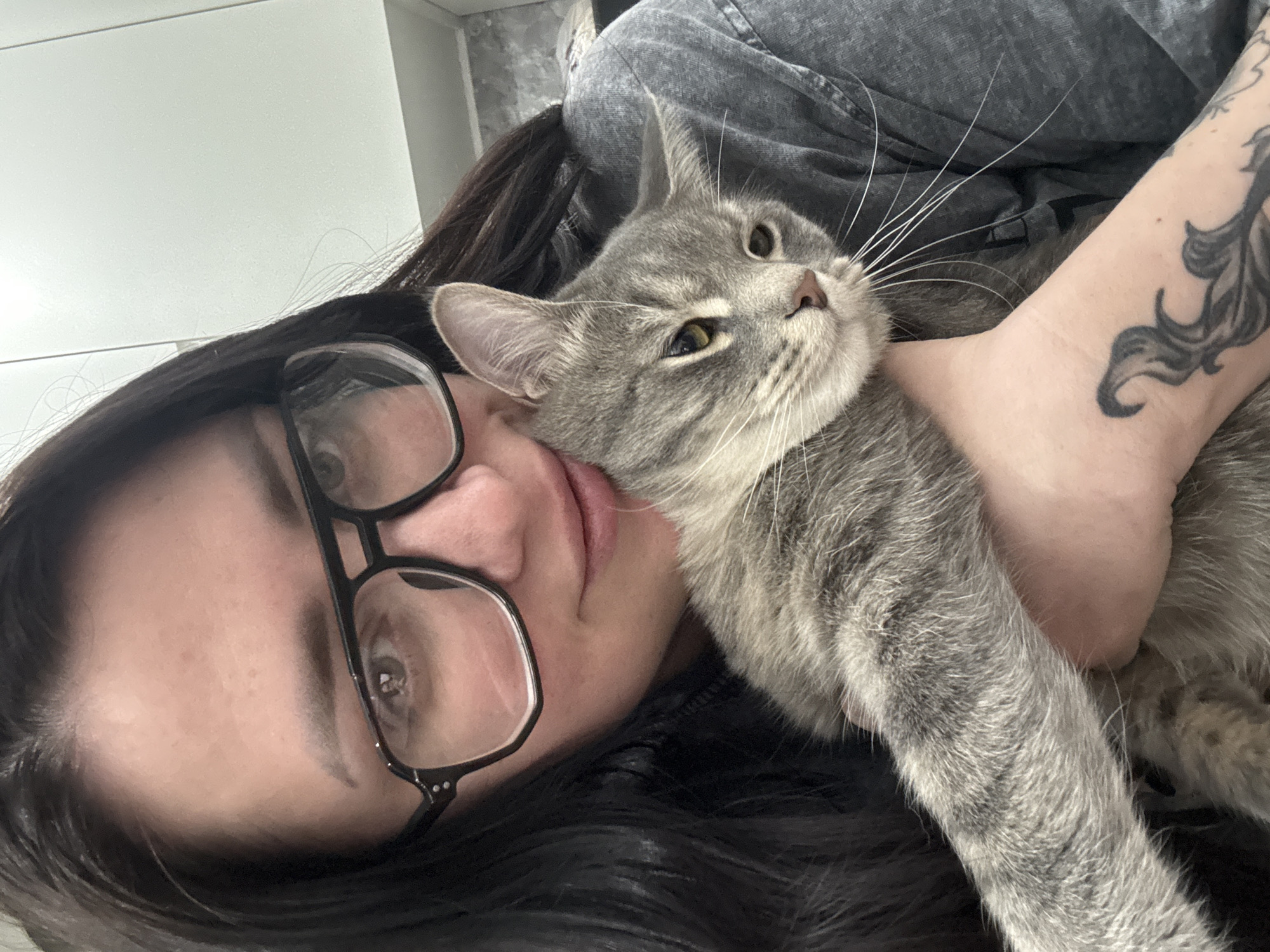 A close-up, top-down shot captures a person and a grey tabby cat in an intimate and affectionate moment, likely indoors. The person, who appears to be a woman with long dark hair and black-framed glasses, is lying on her side, gently embracing the cat. Her face is visible in the lower left portion of the frame, with her mouth slightly open and a relaxed expression. Her left arm, adorned with a dark, intricate tattoo, extends around the cat.
The grey tabby cat is nestled against the person's cheek and arm, its head tilted upwards and gaze directed away from the camera. Its prominent green-yellow eyes and long white whiskers are clearly visible. The cat's patterned fur shows distinct tabby markings. The scene suggests a peaceful and comfortable interaction between the two subjects. In the background, a plain light-colored wall or surface is visible, along with some grey fabric, possibly clothing or a blanket. The lighting is bright and even, indicating a daytime setting. No text is visible in the image.