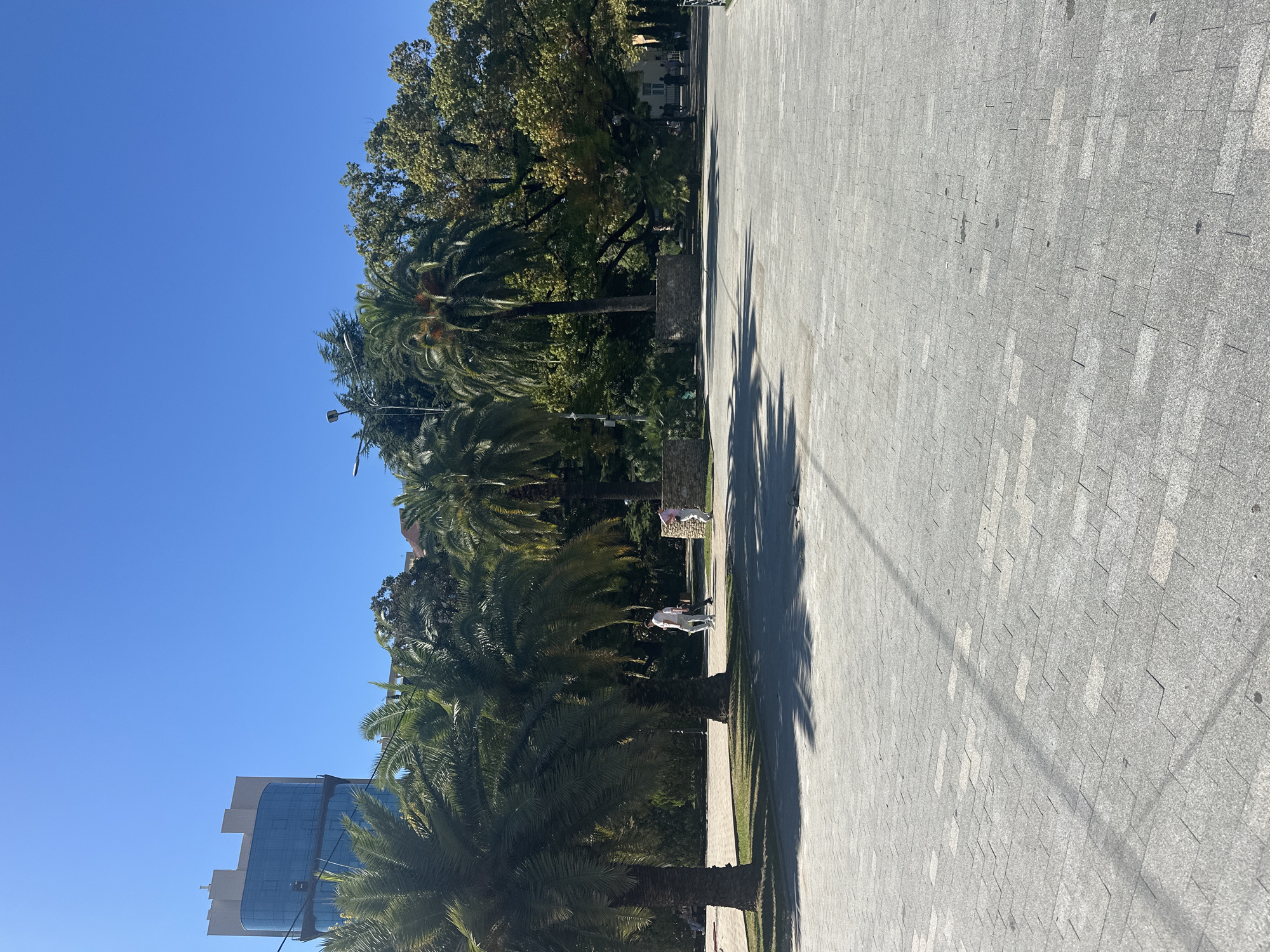 In Sochi, Russia, this image captures a bright, sunny day with a clear blue sky. The foreground is dominated by a wide, paved area with a light grey, interlocking stone pattern, indicative of a public square or walkway. Palm trees, with their characteristic fronds, are prominent on the left and in the mid-ground, casting distinct shadows on the pavement. Behind the palm trees, a modern, multi-story building with a glass facade stands tall. Further back, a dense collection of mature trees, including broad-leafed varieties and evergreens, creates a lush backdrop. Several people are visible in the mid-ground, walking on a path or lawn area adjacent to the paved square. One person in the far right mid-ground is wearing a light-colored outfit and appears to be walking away from the camera. The environment suggests a well-maintained urban park or public space within the city.
