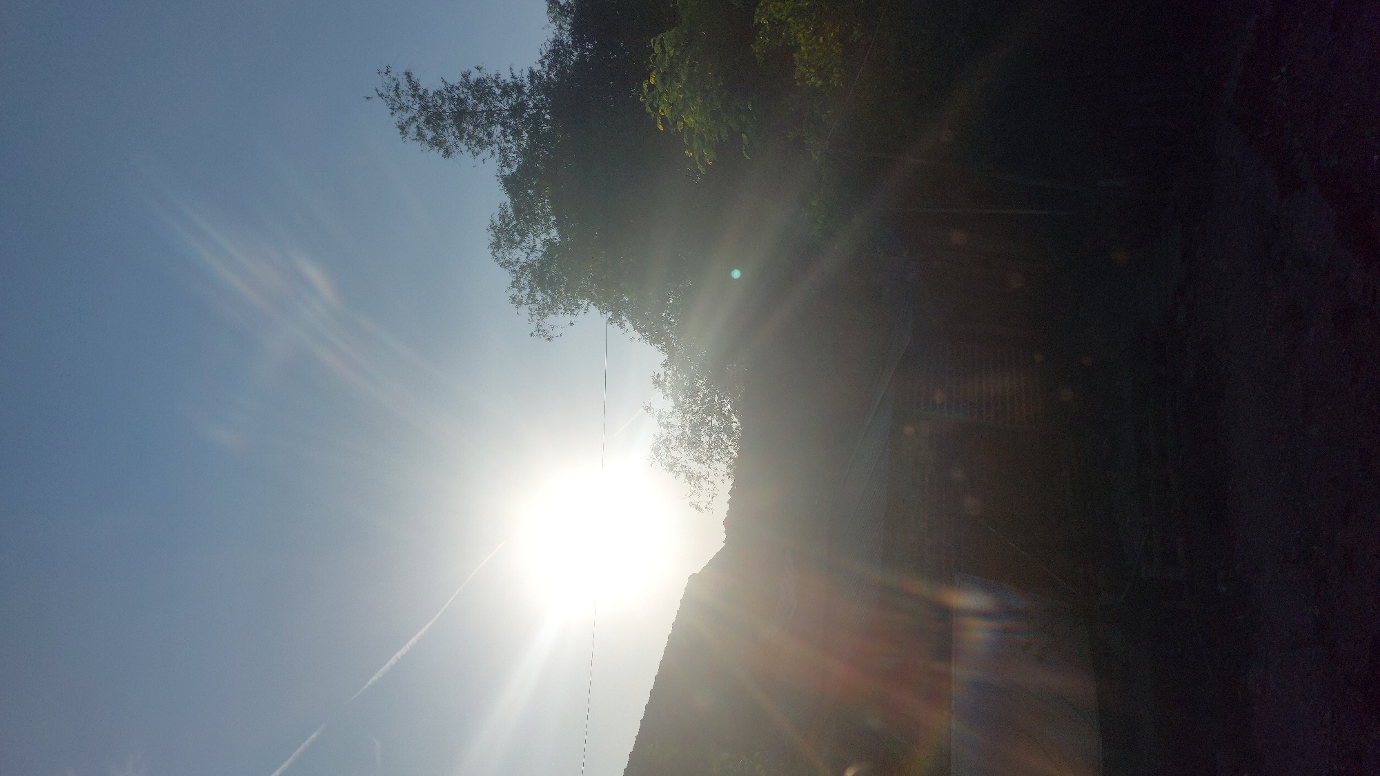 The image depicts a bright sun low in the sky, casting strong rays and lens flares across a silhouetted scene. In the foreground, a dark, indistinct building or structure is visible, with what appears to be a corrugated roof. To the left of the building, there's a darker, possibly tarp-like object. Trees with dense foliage rise on the right side of the frame, partially obscuring the sky. The sky itself is a clear blue, with a faint contrail from an aircraft visible in the upper left quadrant, and some wispy, streaked clouds or atmospheric effects around the sun. The scene appears to be an outdoor environment, possibly a rural or semi-urban area, given the presence of vegetation and a building that doesn't appear to be a modern city structure. The overall lighting suggests either sunrise or sunset. The location is identified as Jatirogo, Indonesia.
