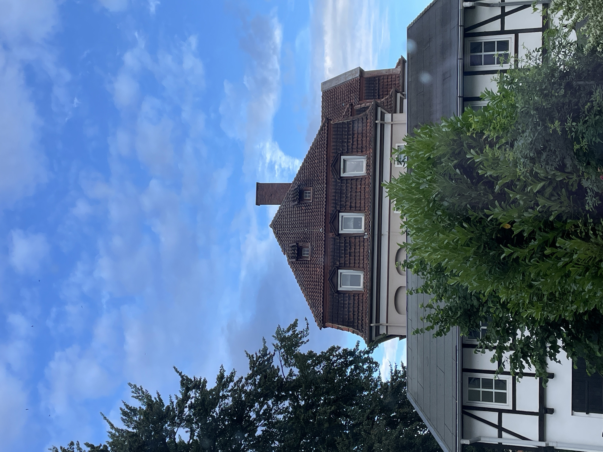A medium shot captures a three-story building with a mansard roof and dormer windows, seen from below, against a bright blue sky with scattered clouds. The building has a complex roof structure with red tiles, several dormer windows, and a brick chimney. The lower section of the building, partially obscured by dense green foliage in the foreground, features white walls and dark timber framing, characteristic of Fachwerk architecture. To the left, a large tree with dark green leaves is visible. The sky is partially filled with clouds, and a few small birds are visible in the upper portion of the image.